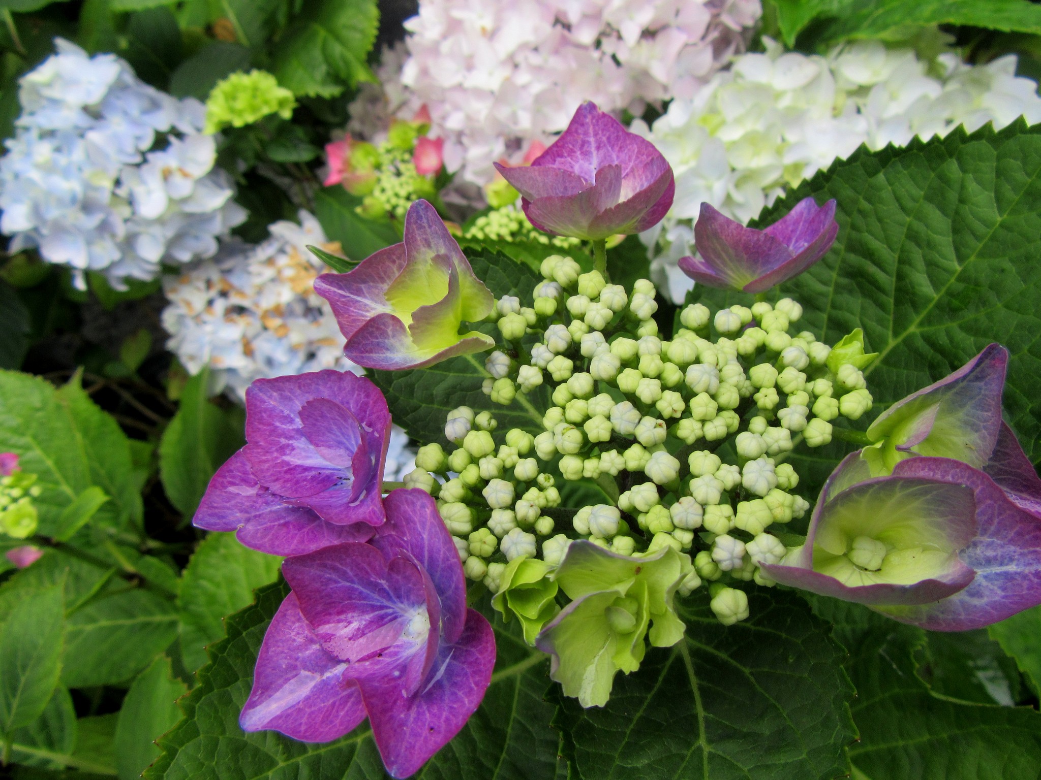 2017-06-23_13.27.15.jpg