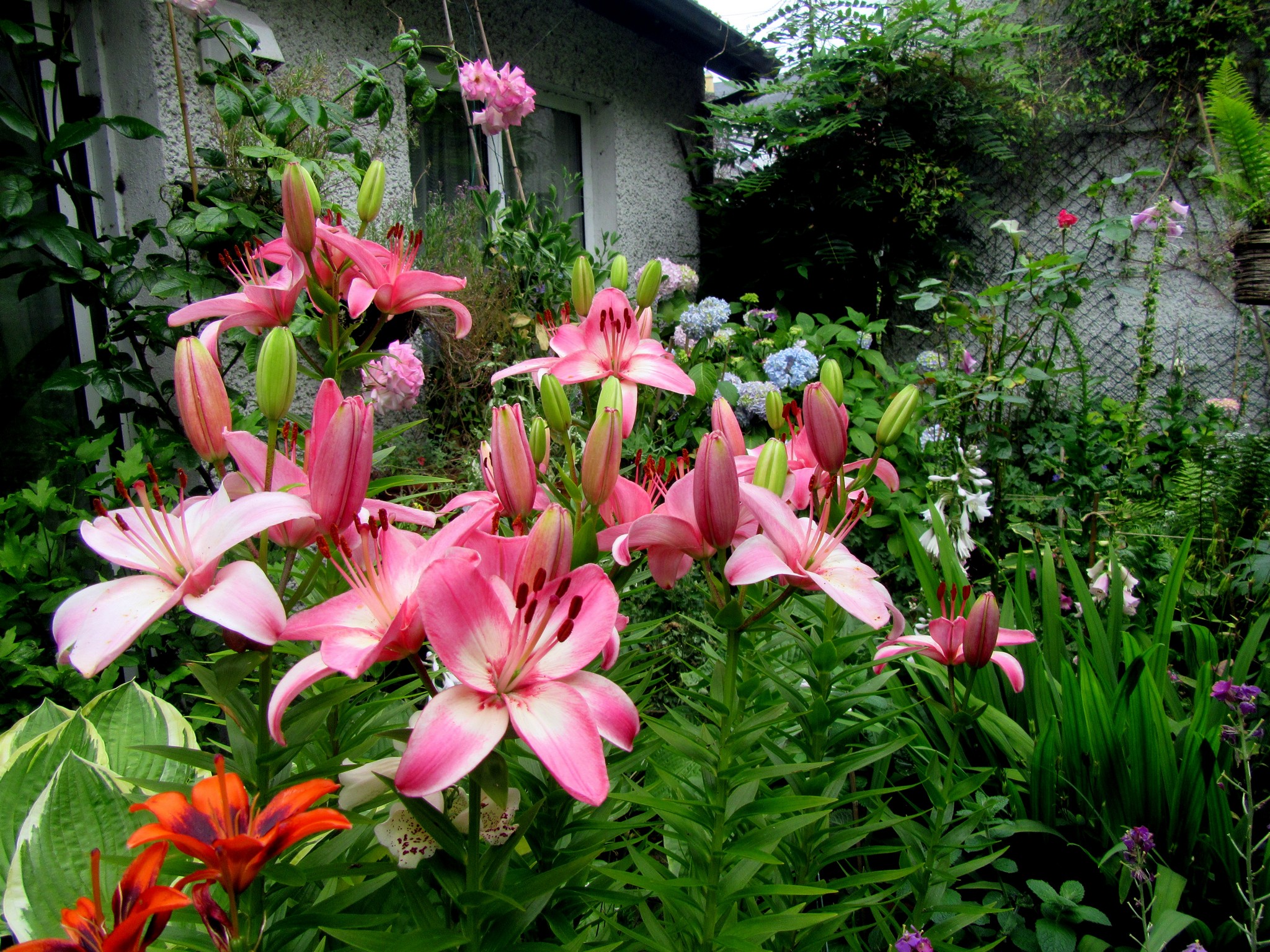 2017-06-24_15.53.23.jpg