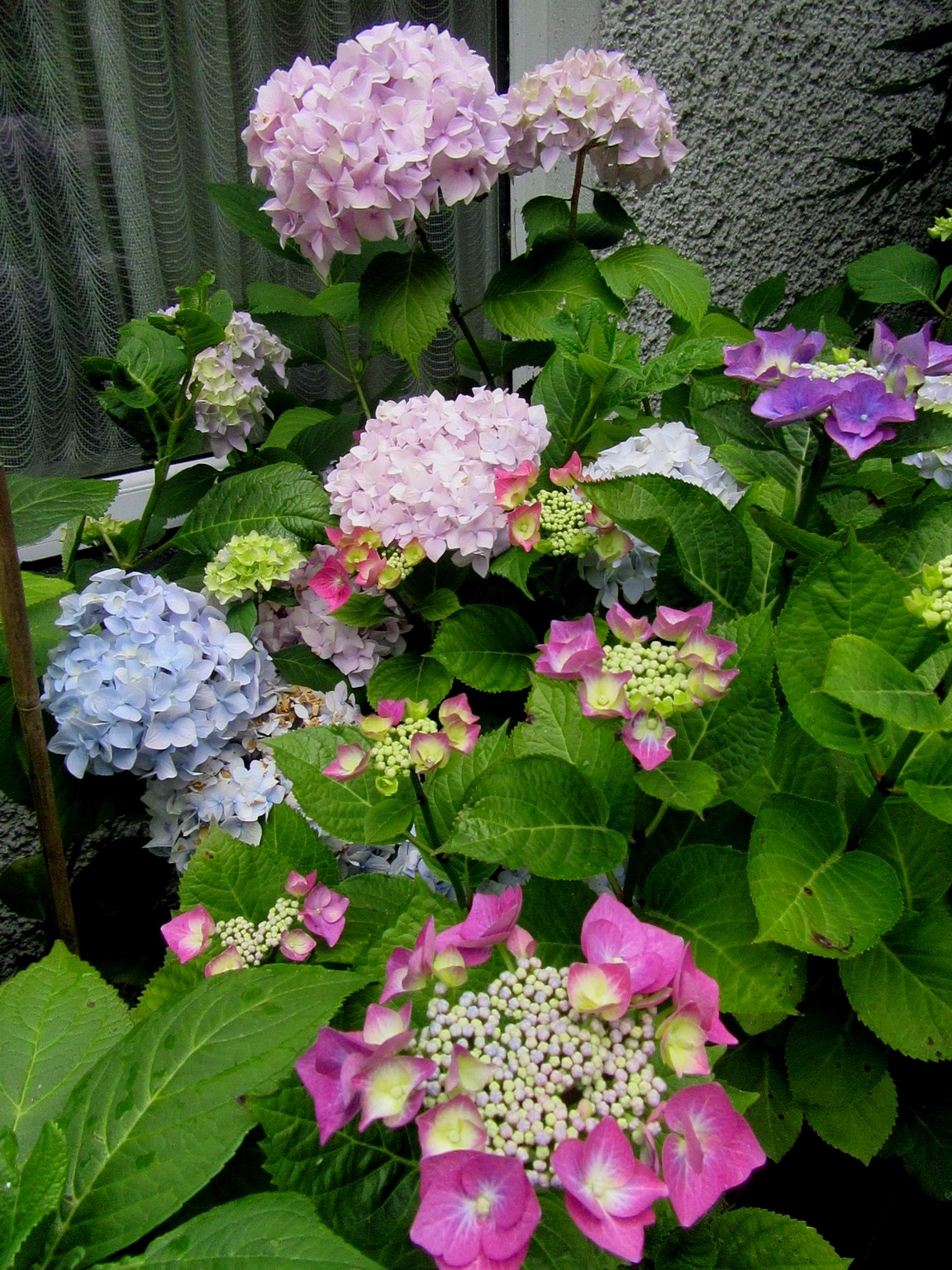 2017-06-28_13.11.05.jpg