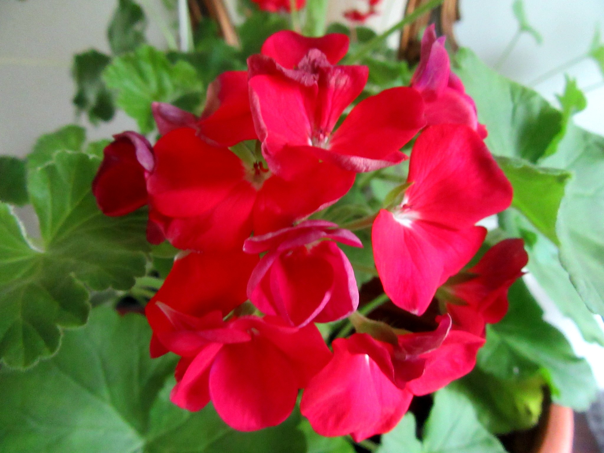 2017-07-07_14.13.36.jpg
