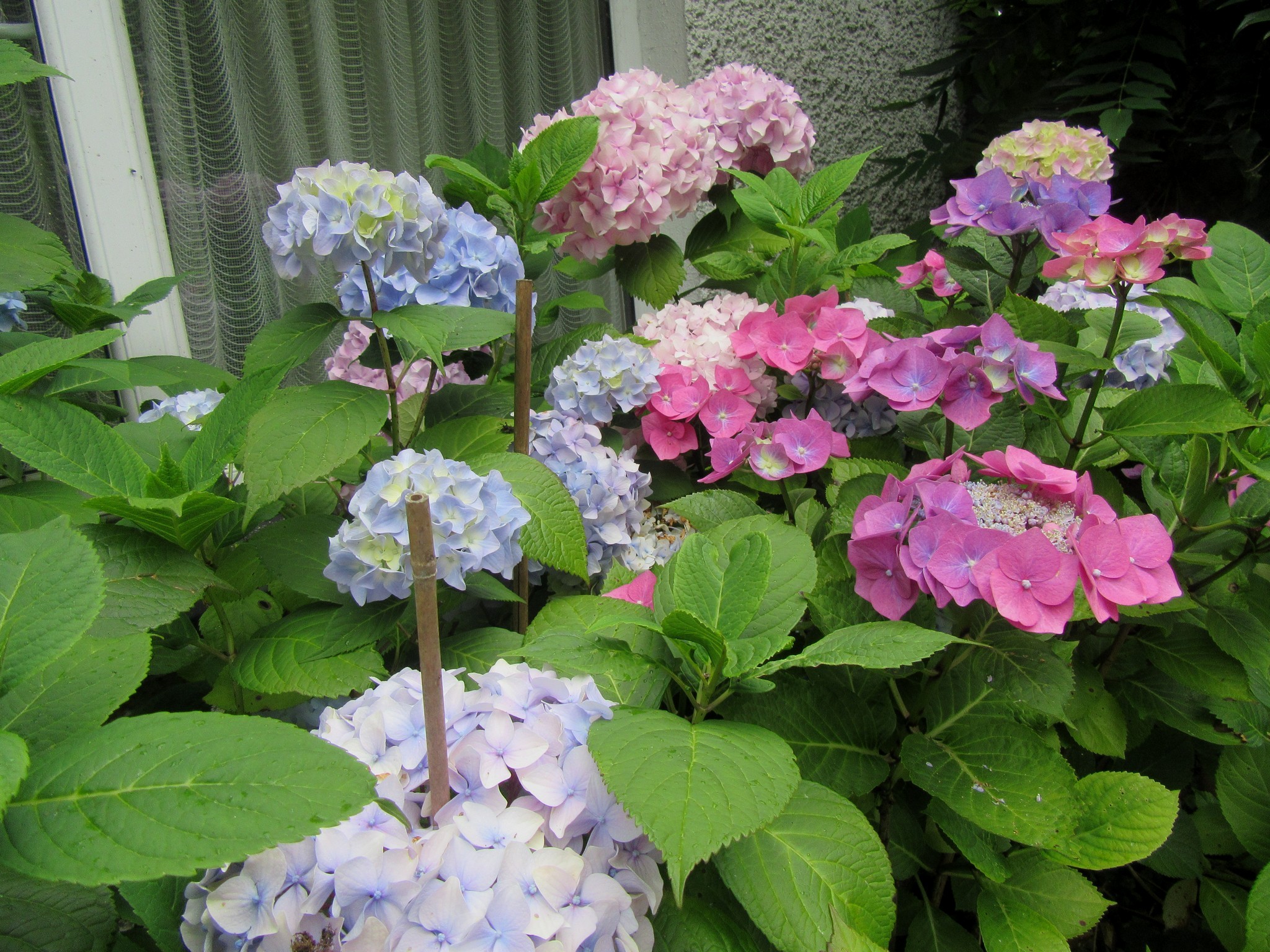 2017-07-09_12.49.55.jpg