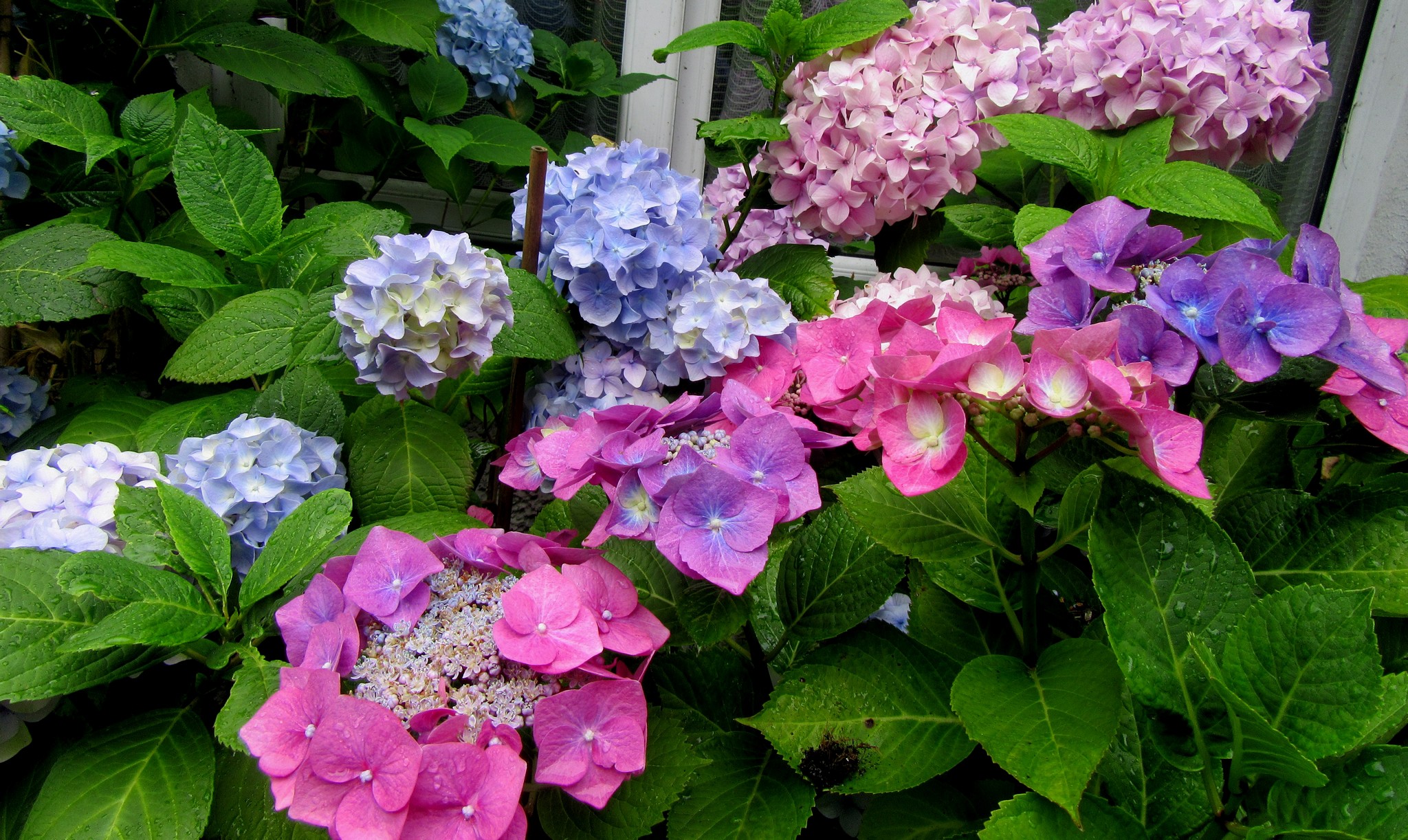 2017-07-11_13.05.56.jpg