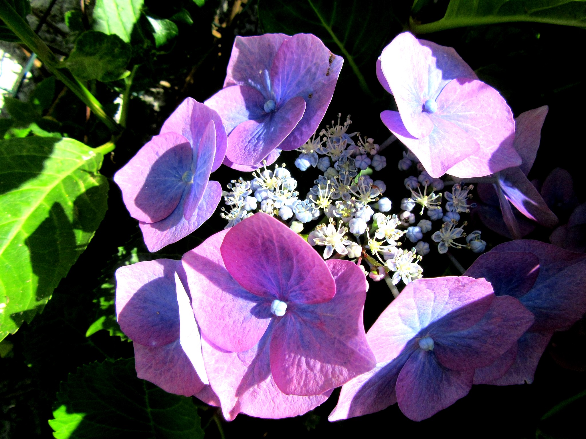 2017-07-16_16.20.11.jpg