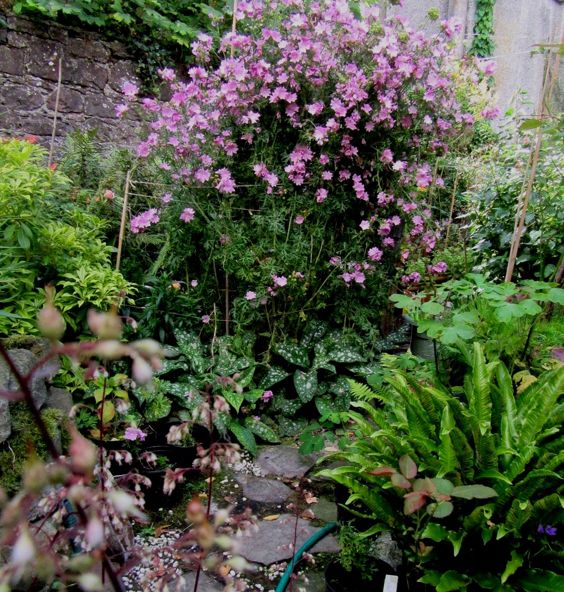 2017-07-23_13.19.19.jpg