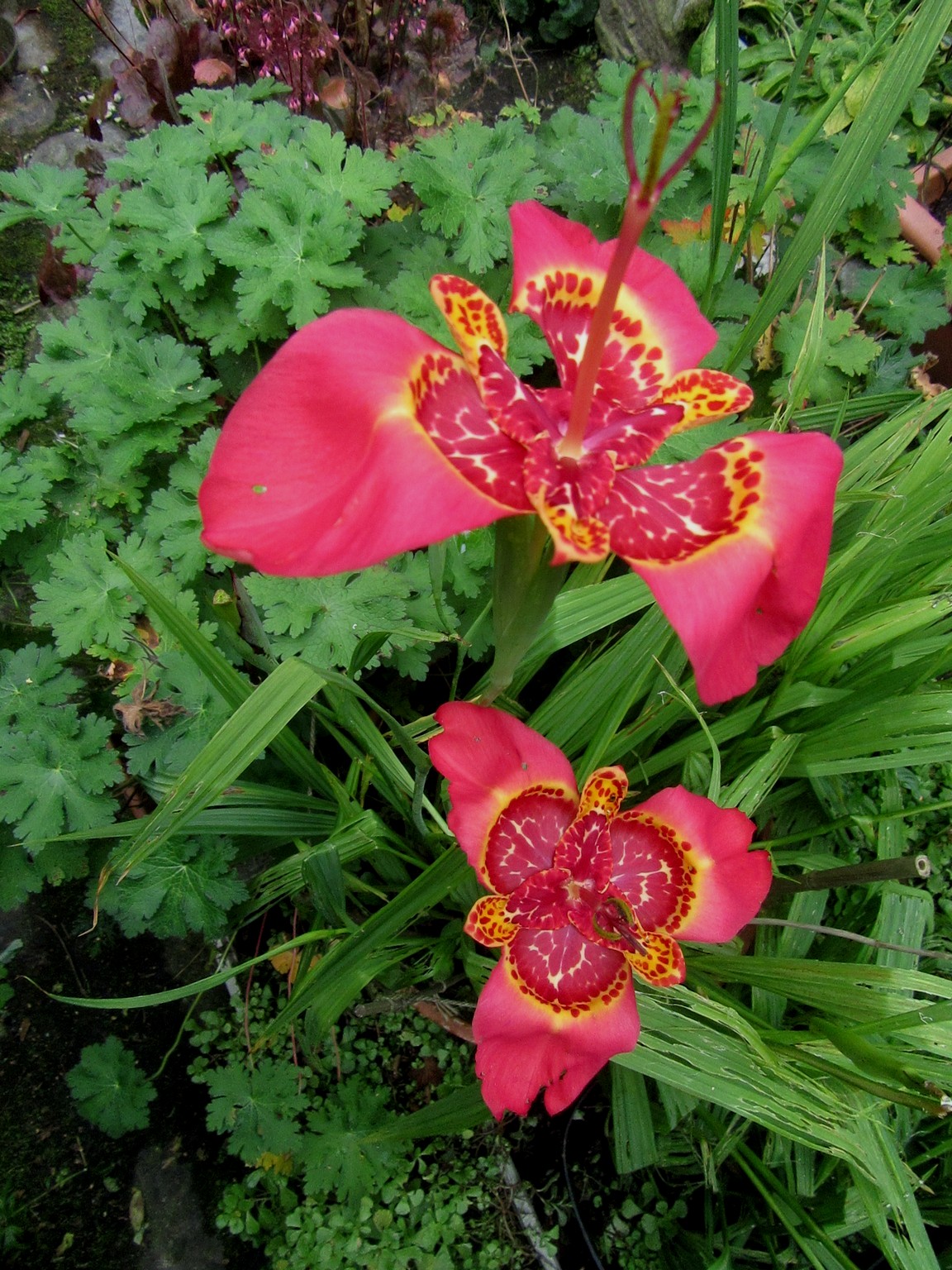 2017-08-10_10.44.55.jpg