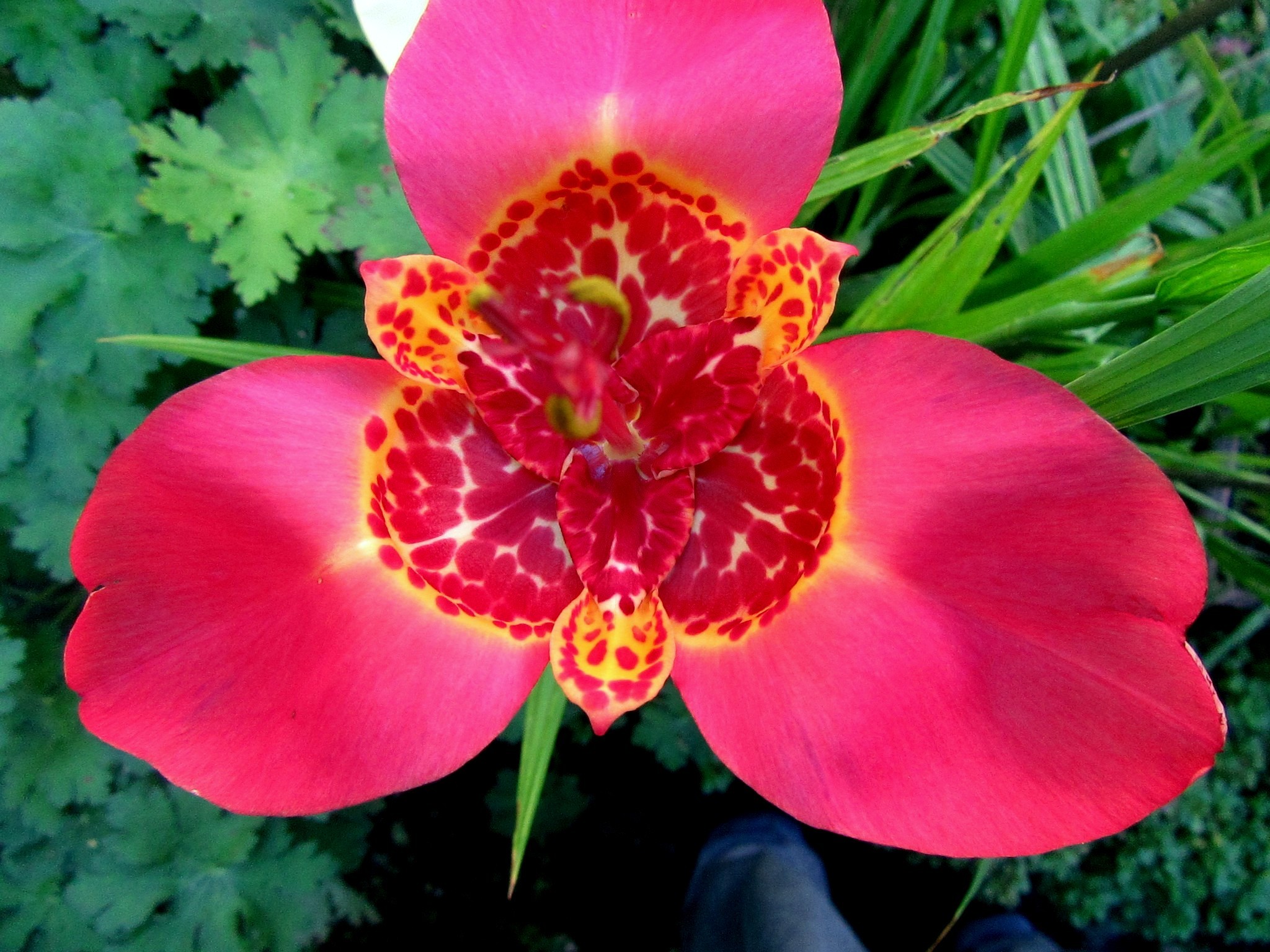 2017-08-12_08.20.12.jpg