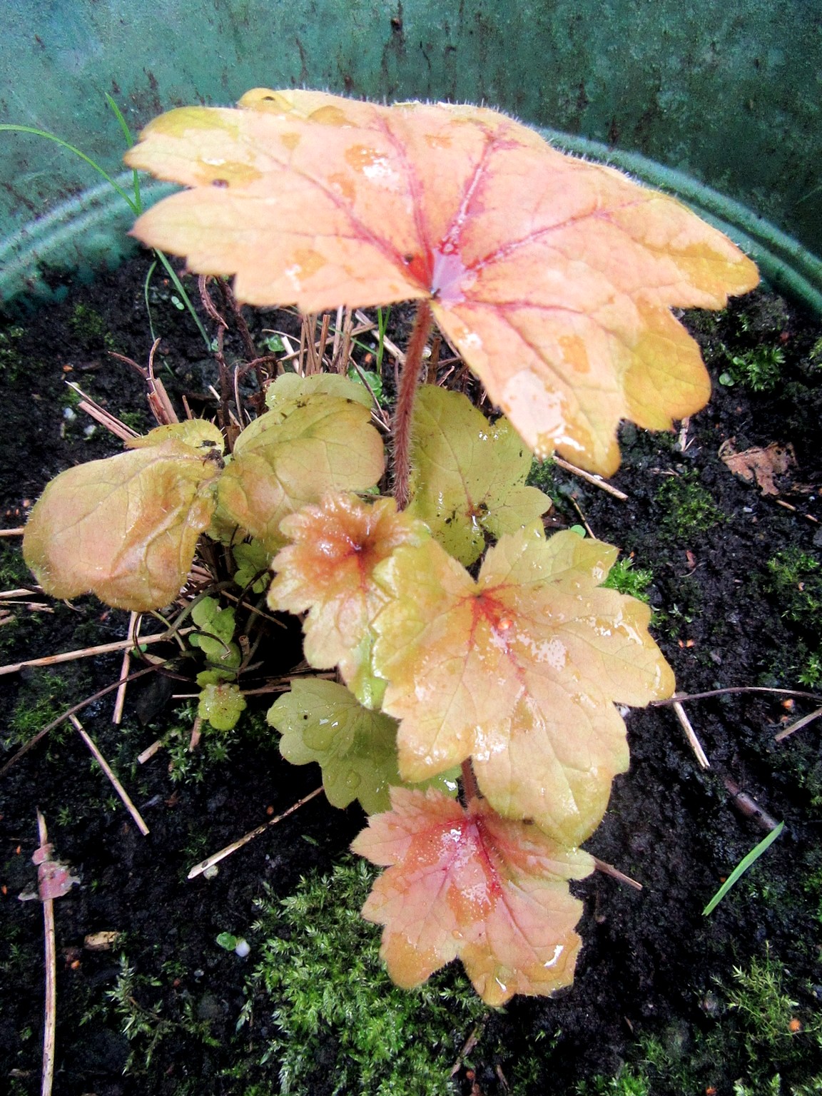 2017-08-25_14.10.42.jpg