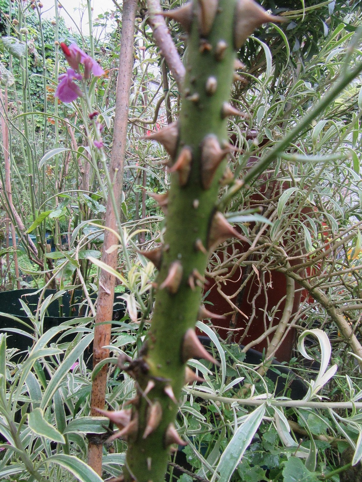 2017-09-02_14.40.51.jpg