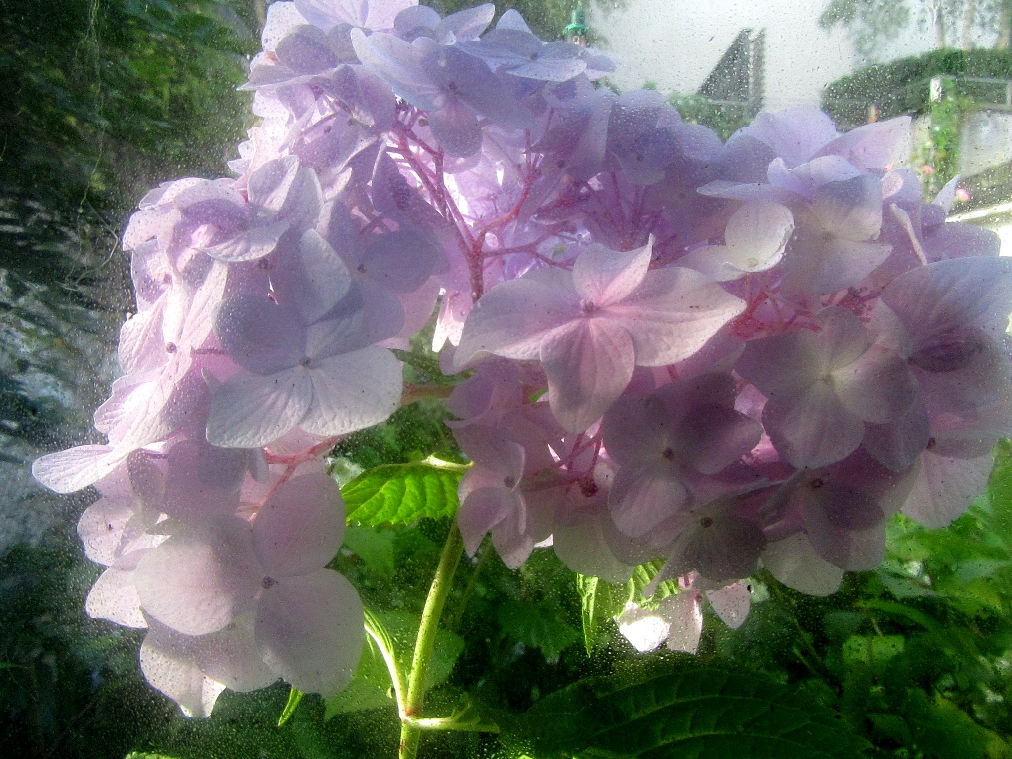 2017-09-05_09.15.03.jpg