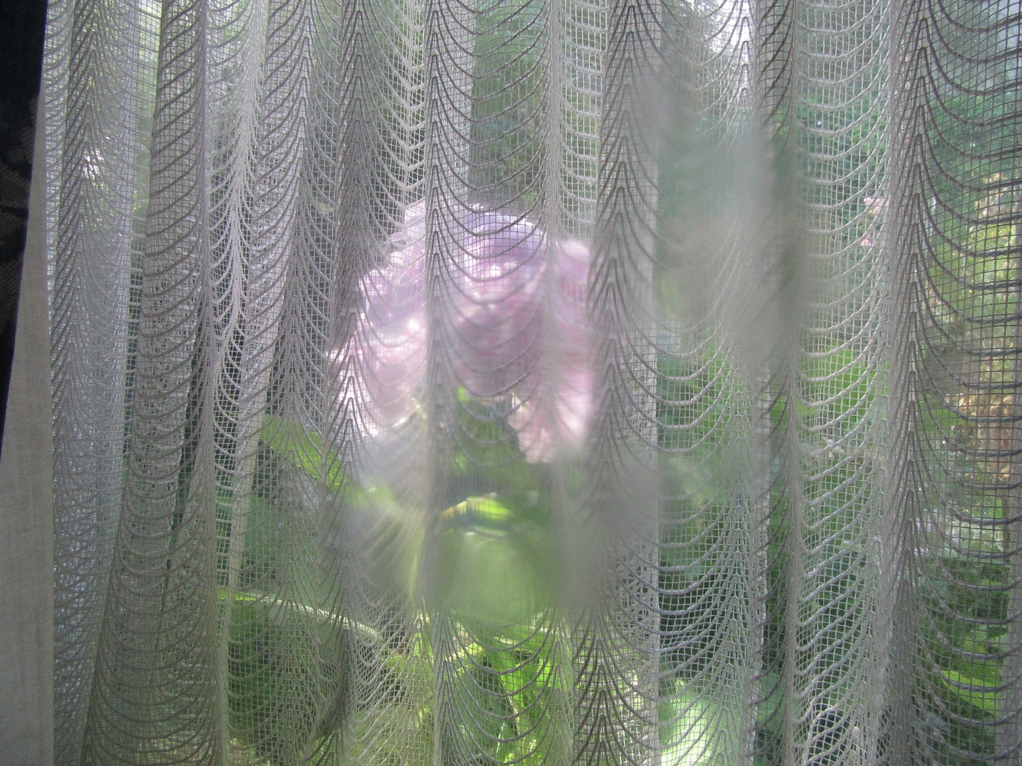 2017-09-05_09.19.15.jpg