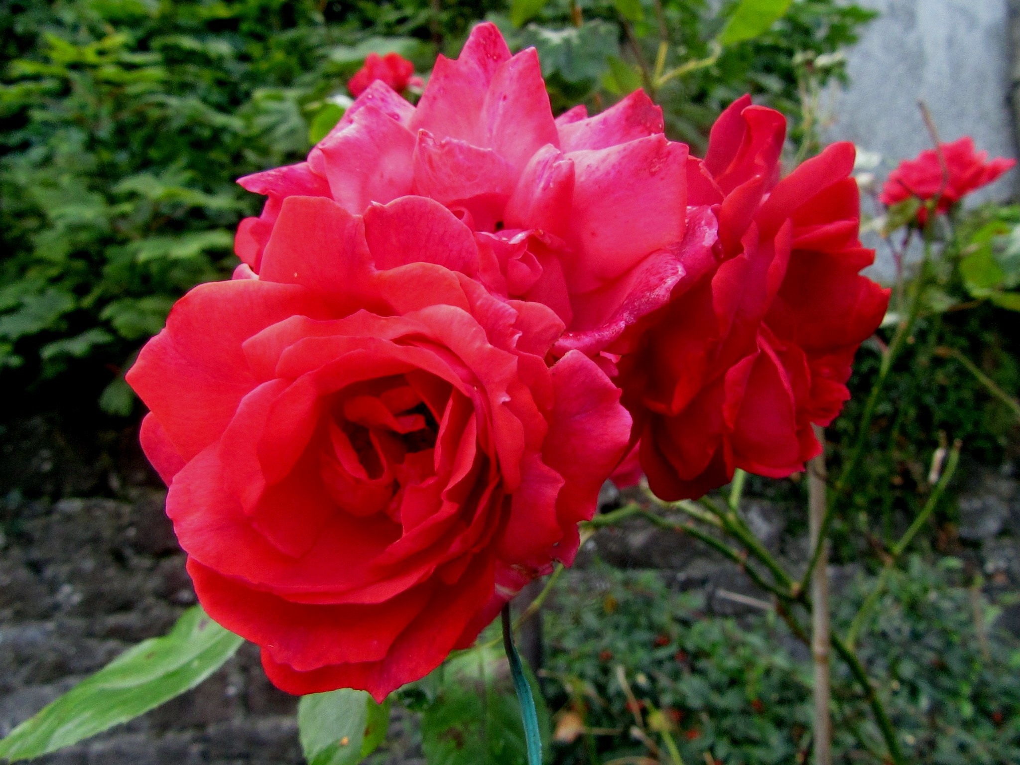 2017-09-05_12.56.12.jpg