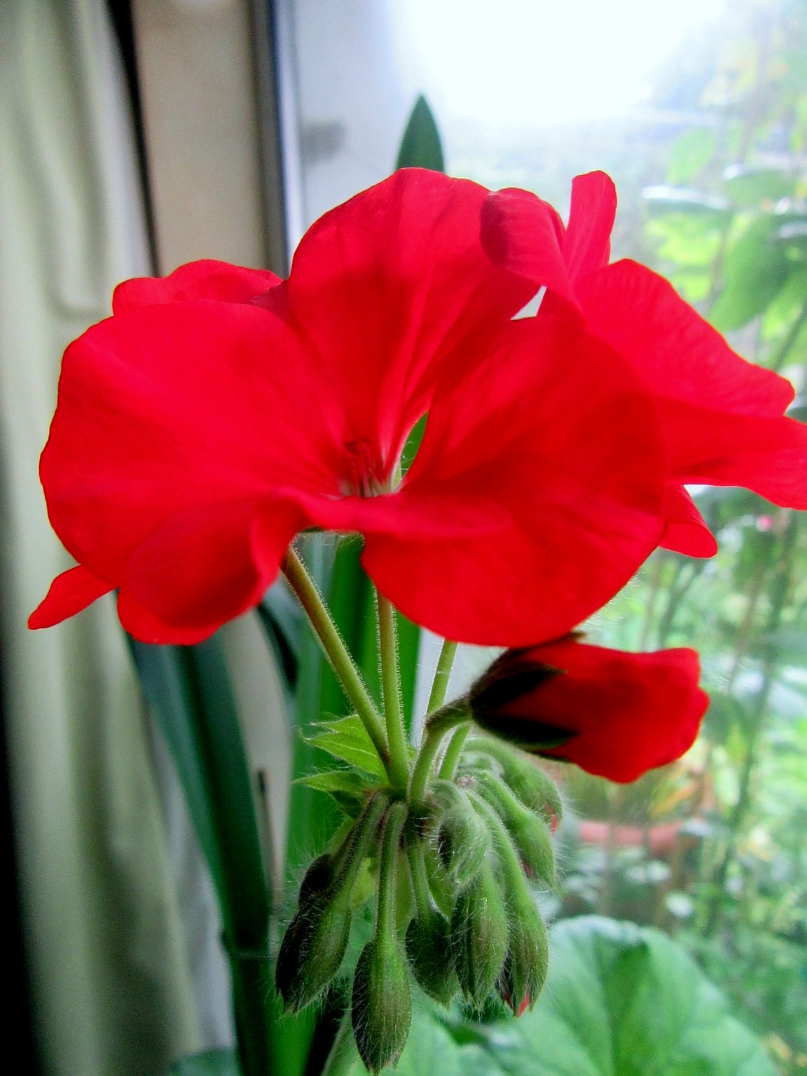 2017-09-12_09.53.15.jpg