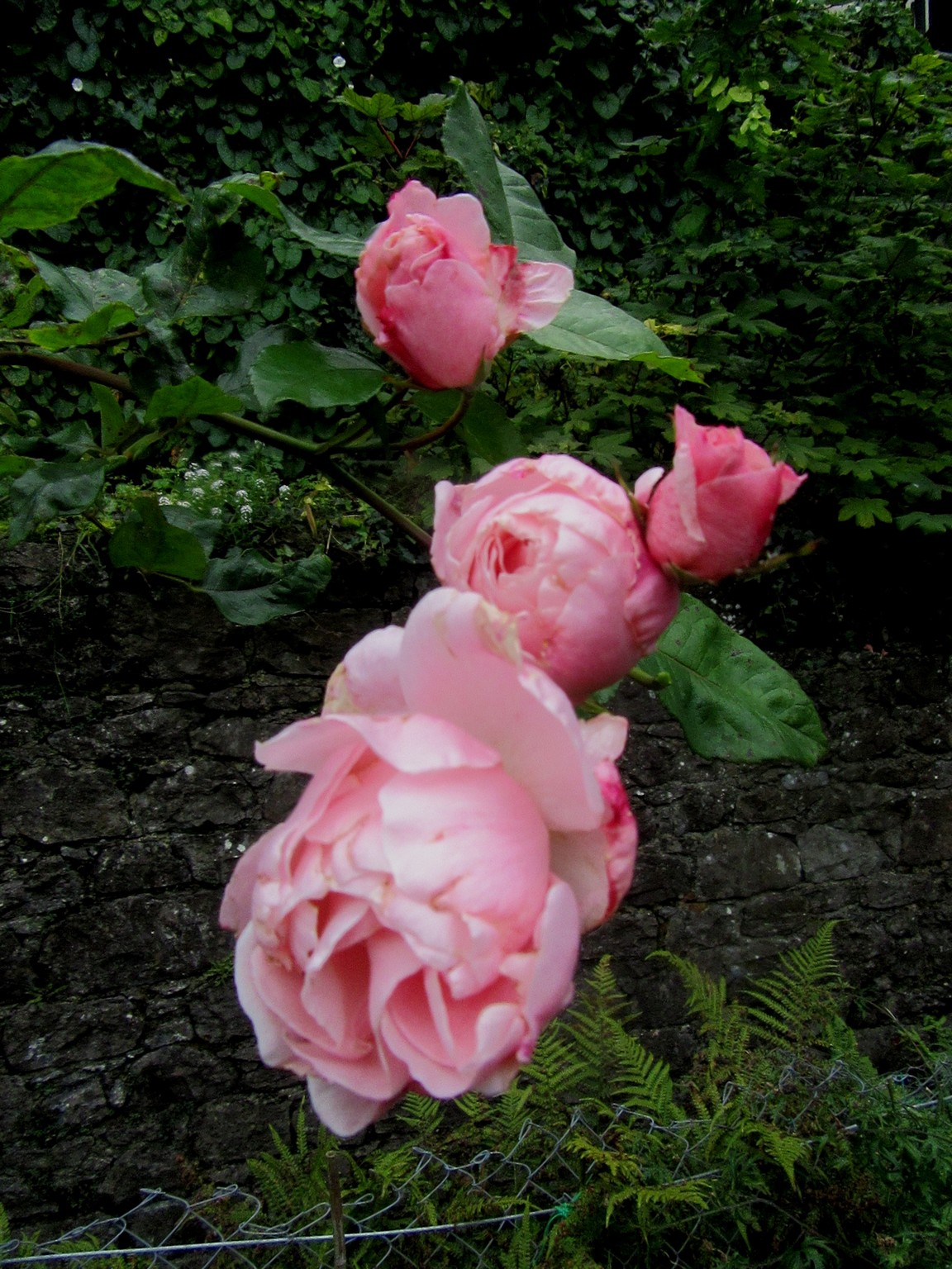 2017-09-16_09.45.46.jpg