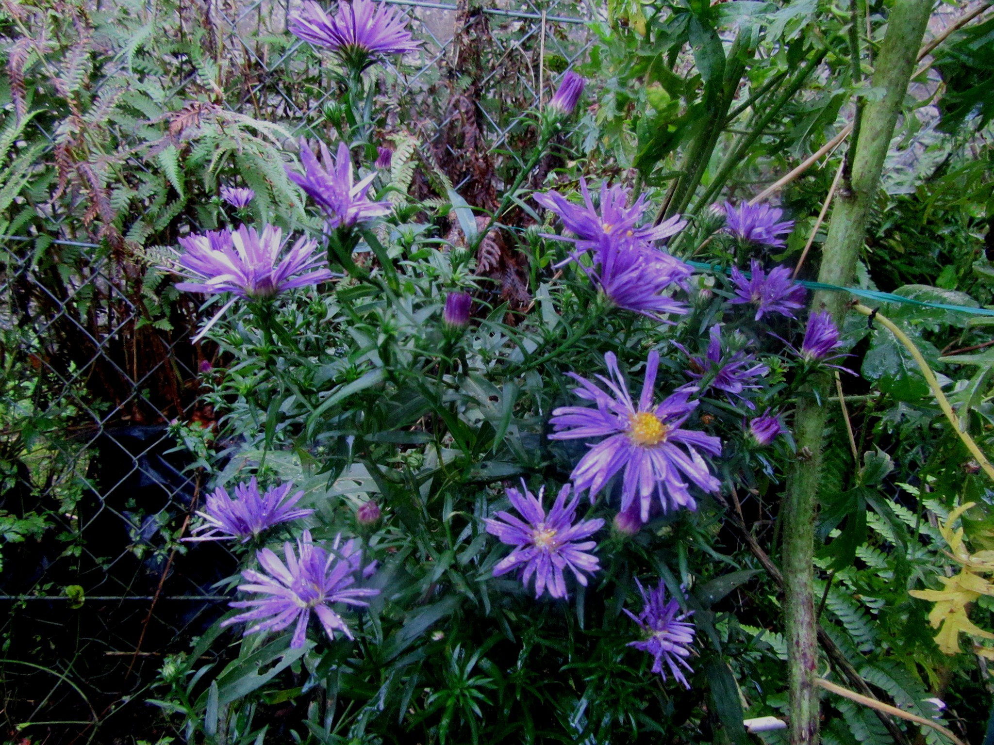 2017-09-25_13.47.46.jpg