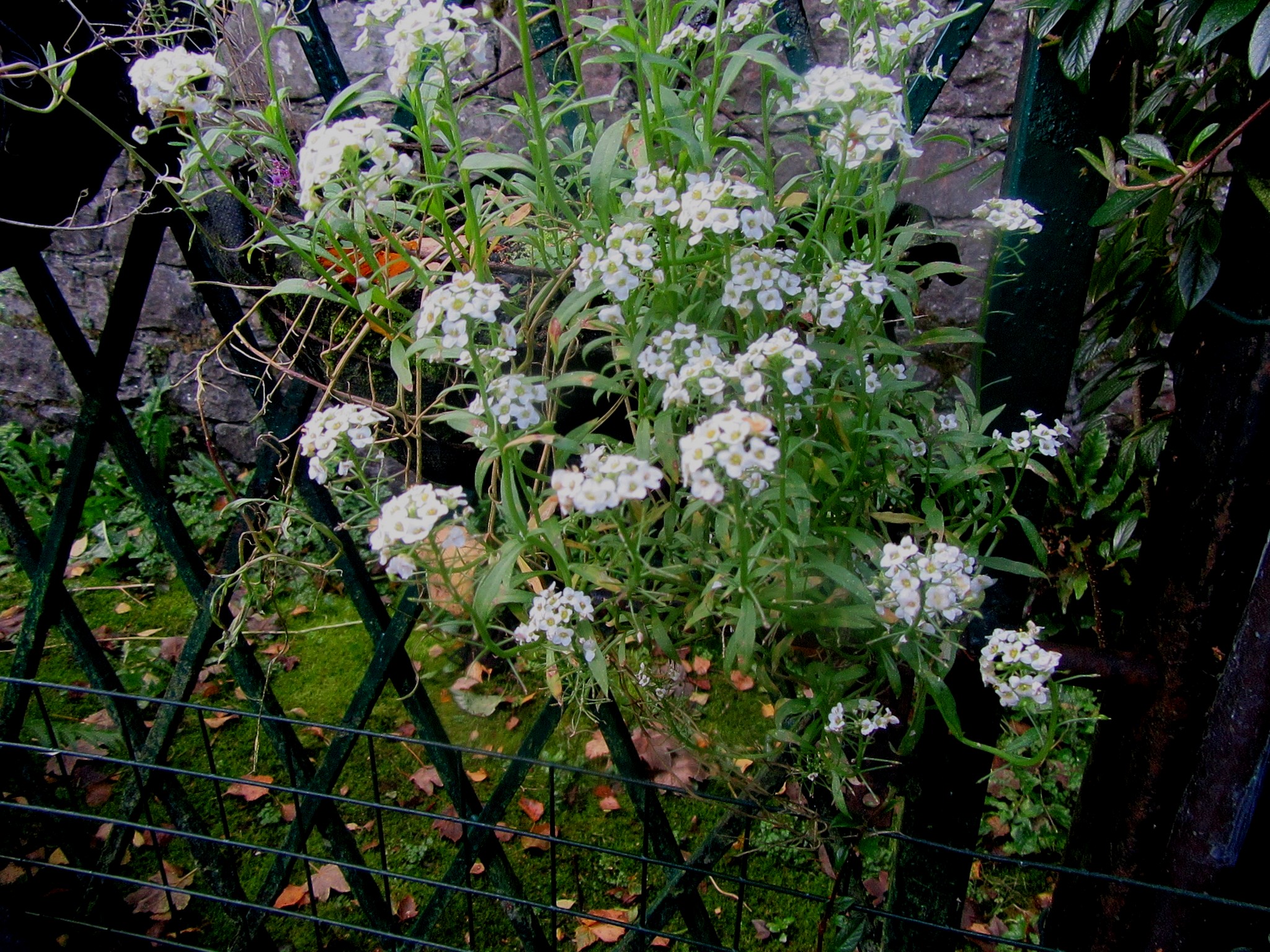 2017-10-05_11.34.34.jpg