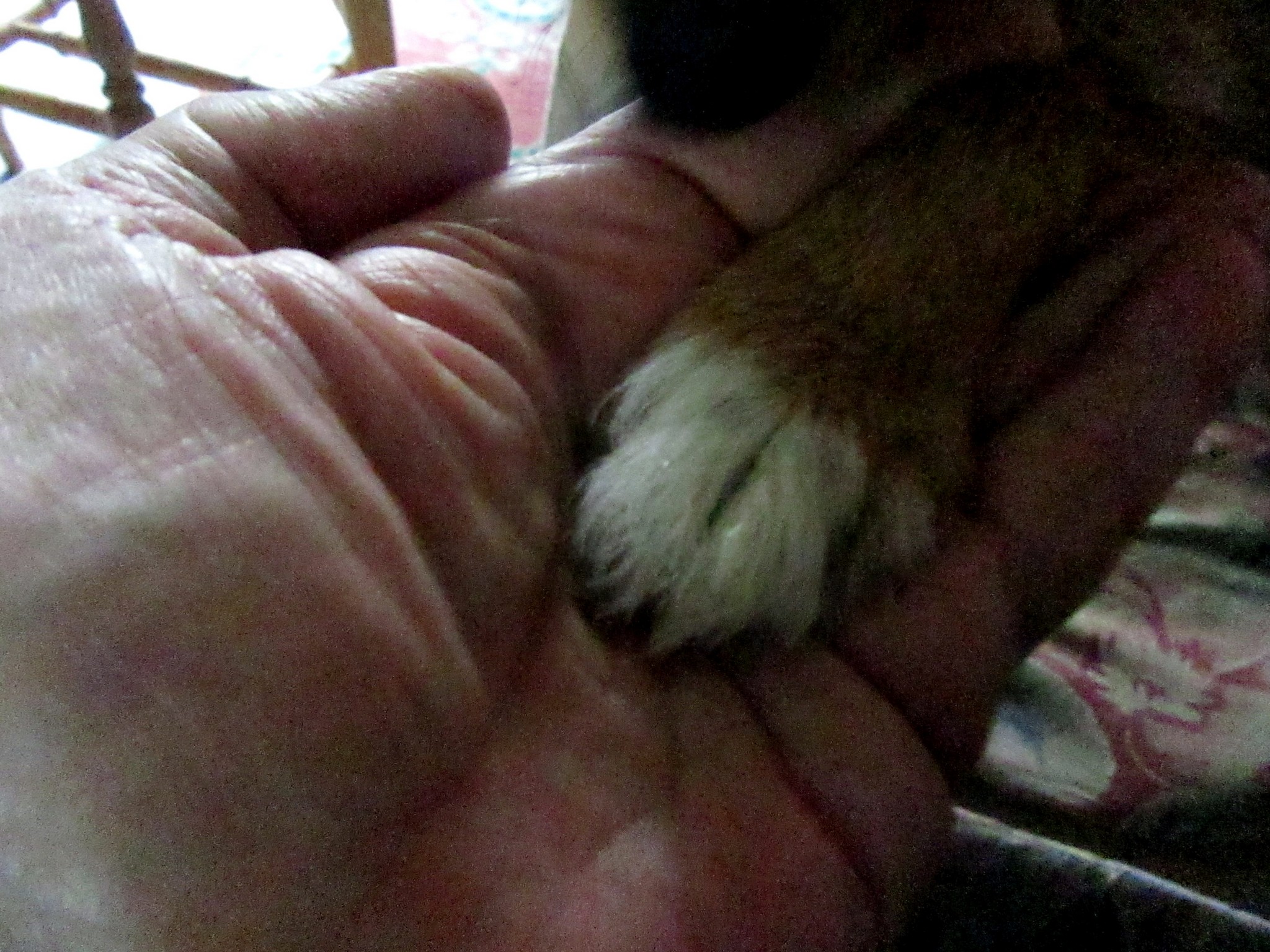 2017-10-29_13.53.26.jpg