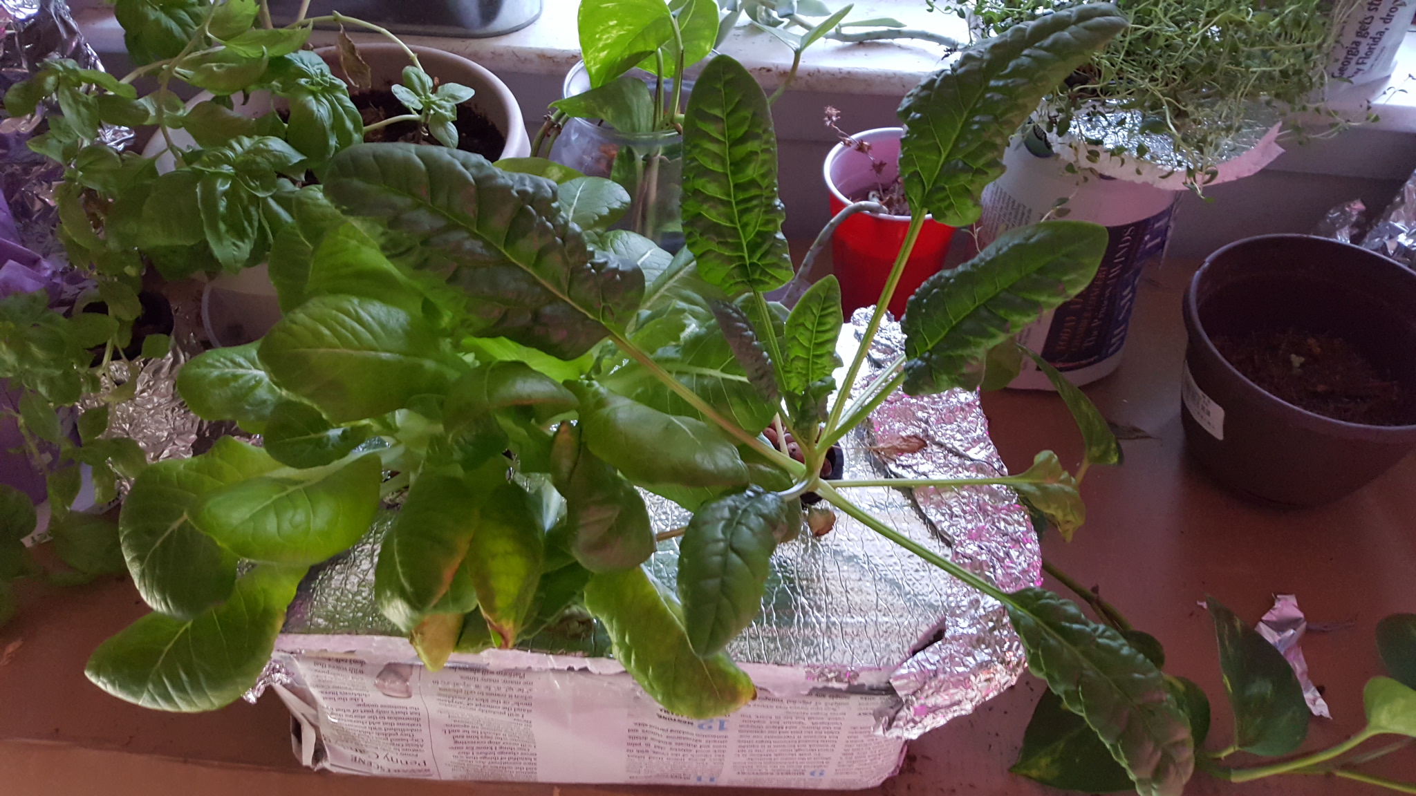 20170104_073233.jpg