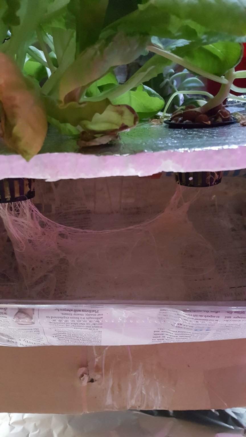 20170104_073535.jpg