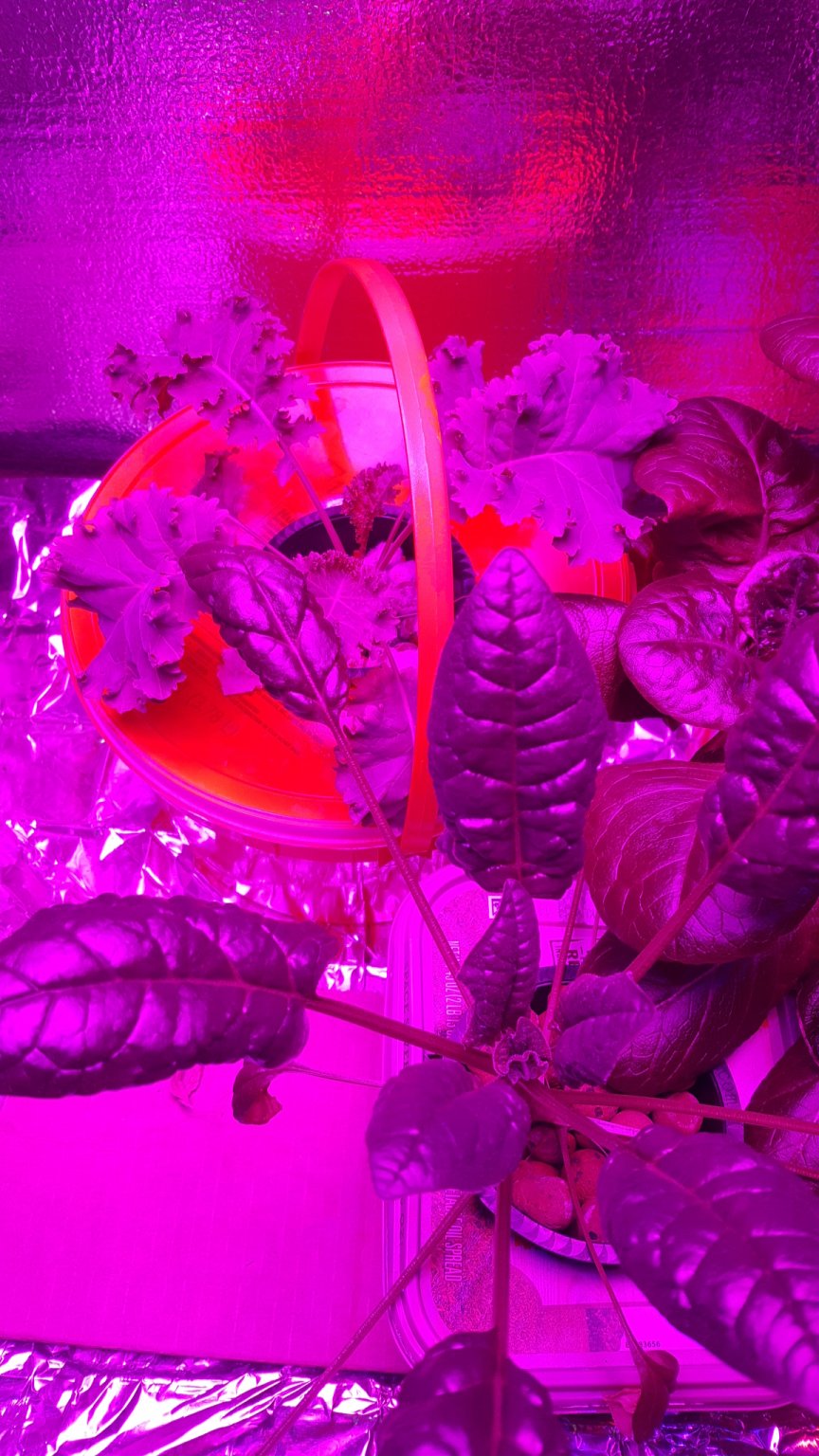 20170115_163939.jpg