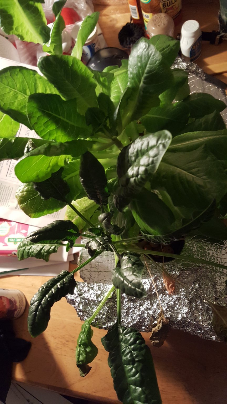 20170119_183107.jpg