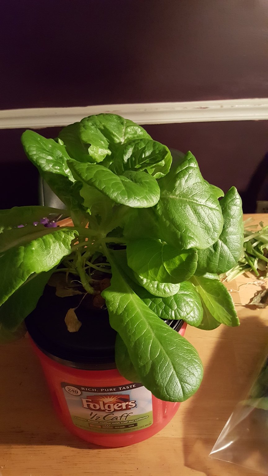 20170119_184724.jpg