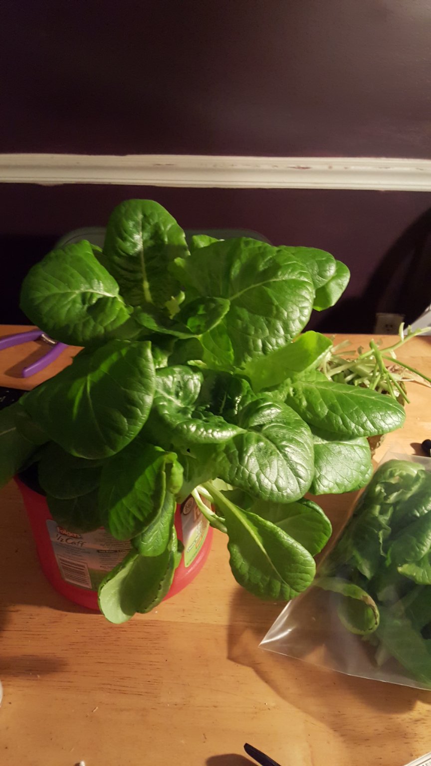 20170119_184734.jpg
