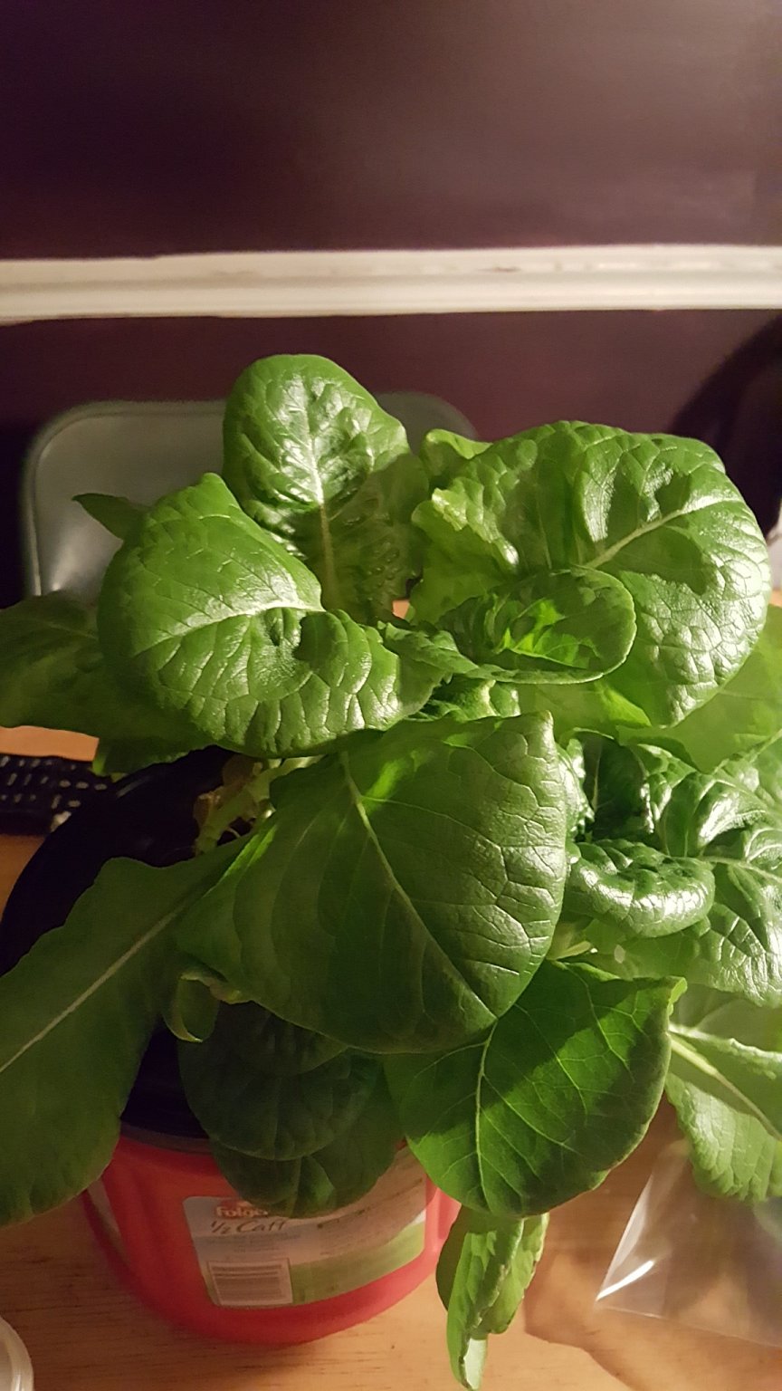 20170119_184932.jpg