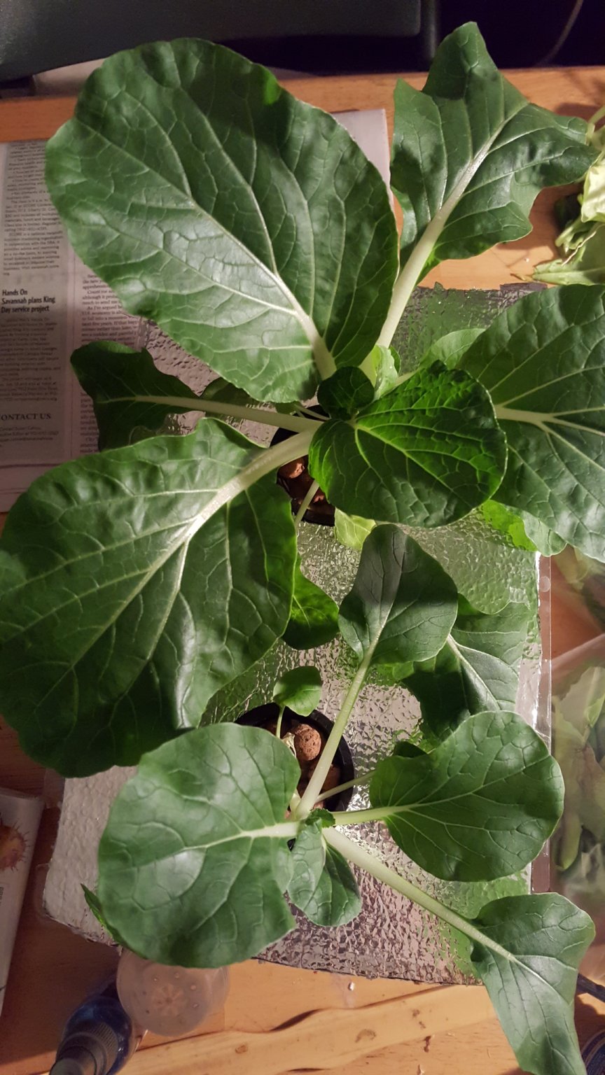 20170119_192835.jpg