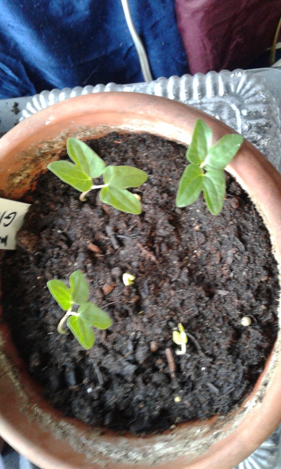 20170222_165439.jpg