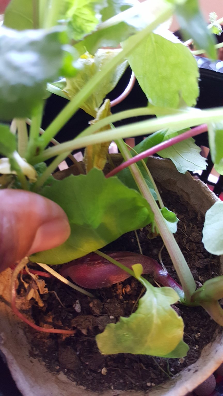 20170225_102850.jpg