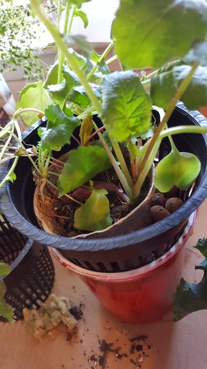 20170225_102930.jpg