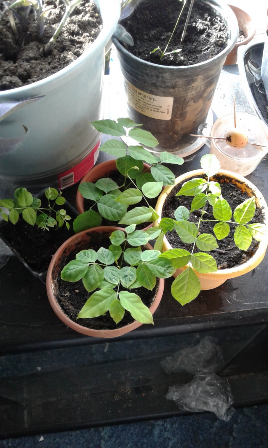 20170303_153118.jpg