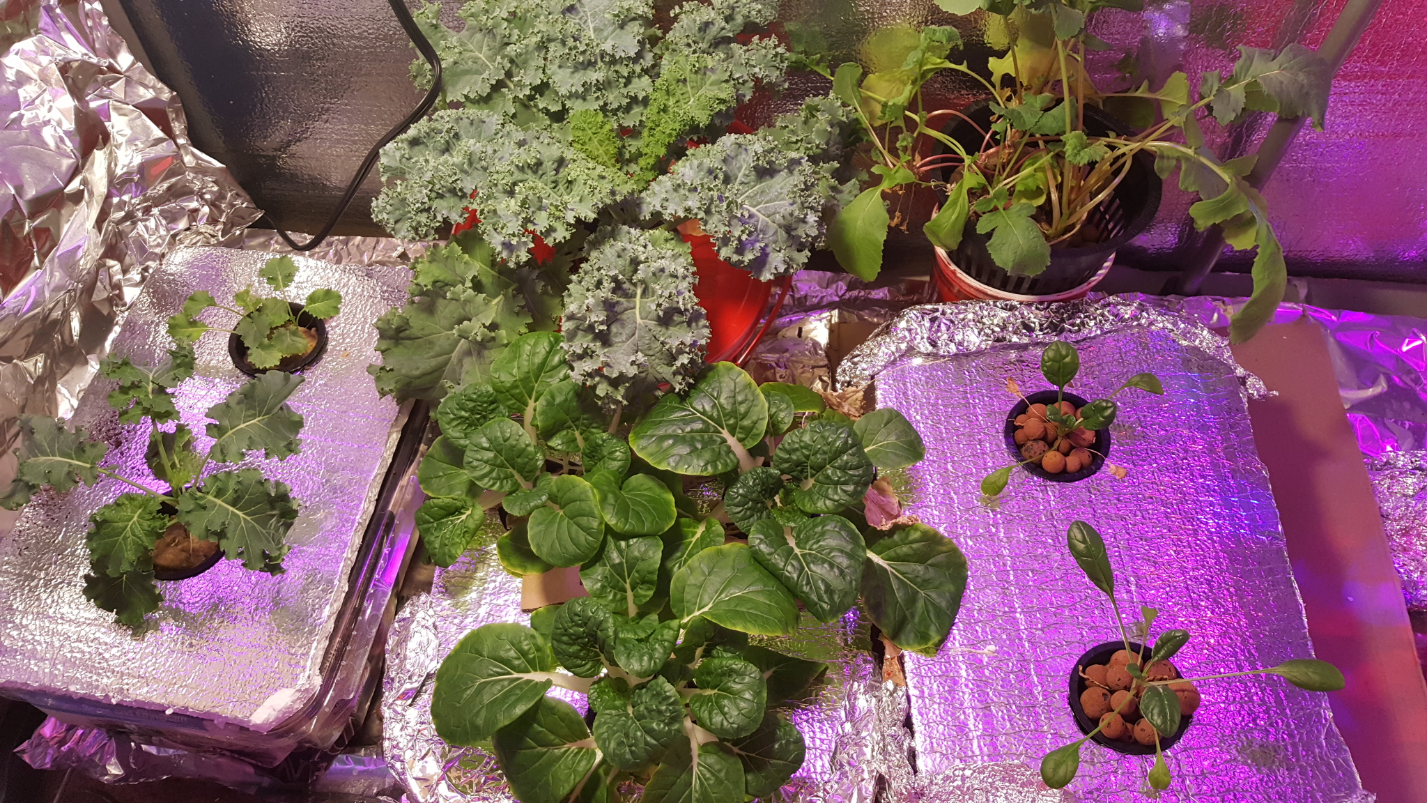 20170306_075333.jpg