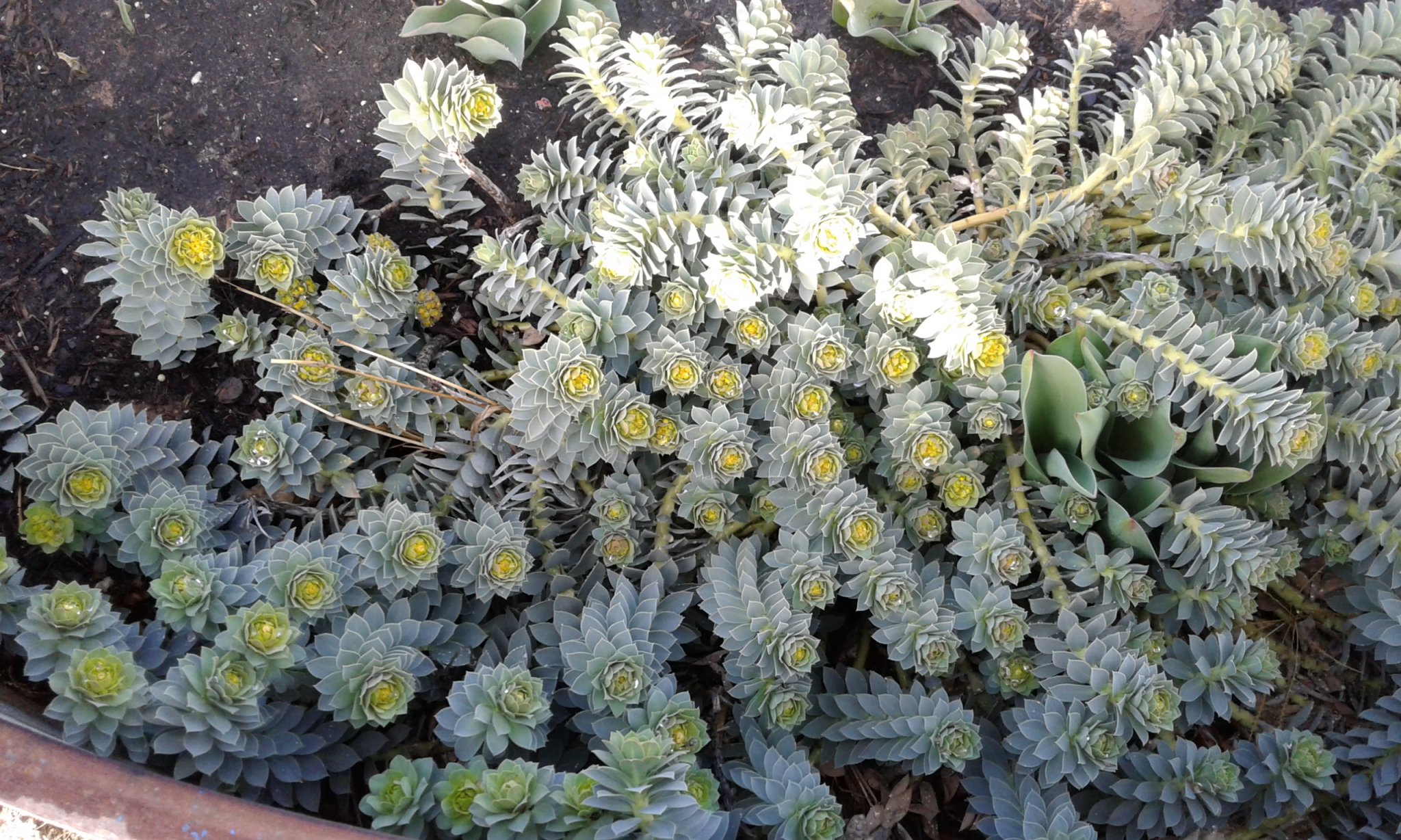 20170308_161858.jpg