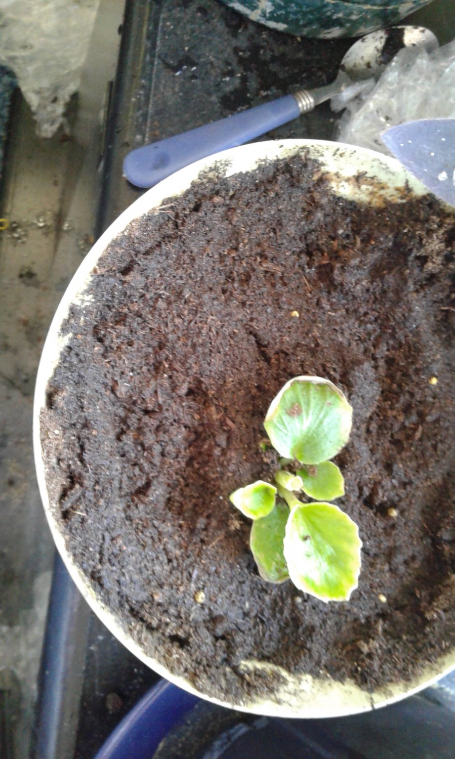 20170311_115045.jpg