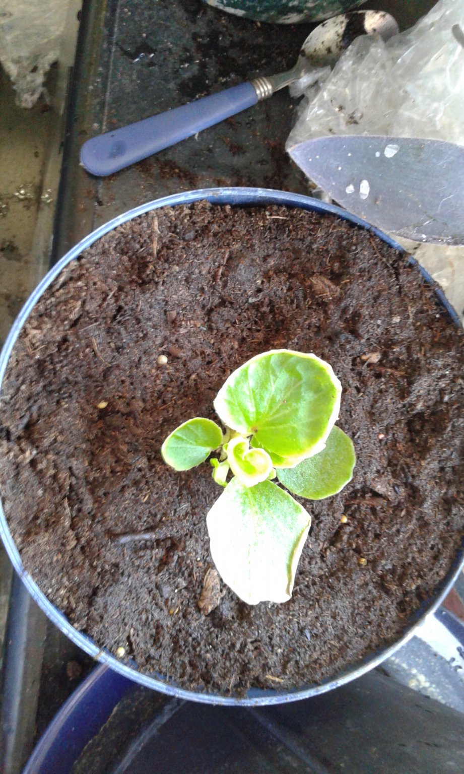 20170311_115135.jpg