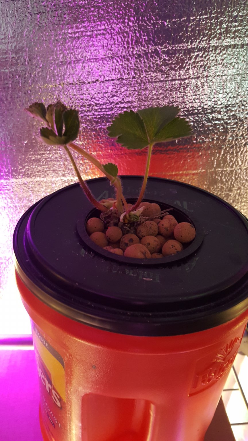 20170323_081844.jpg