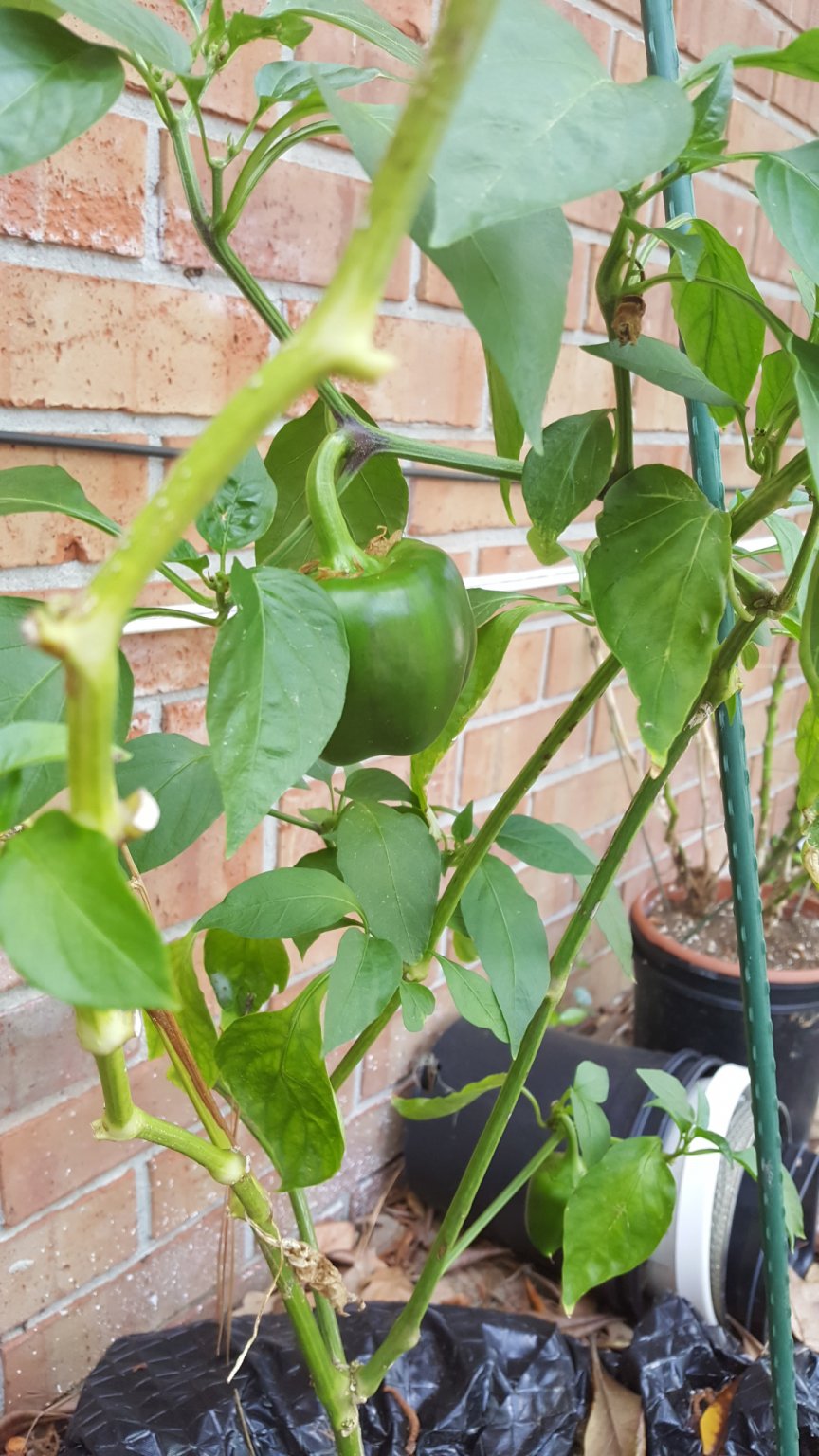 20170415_153822.jpg