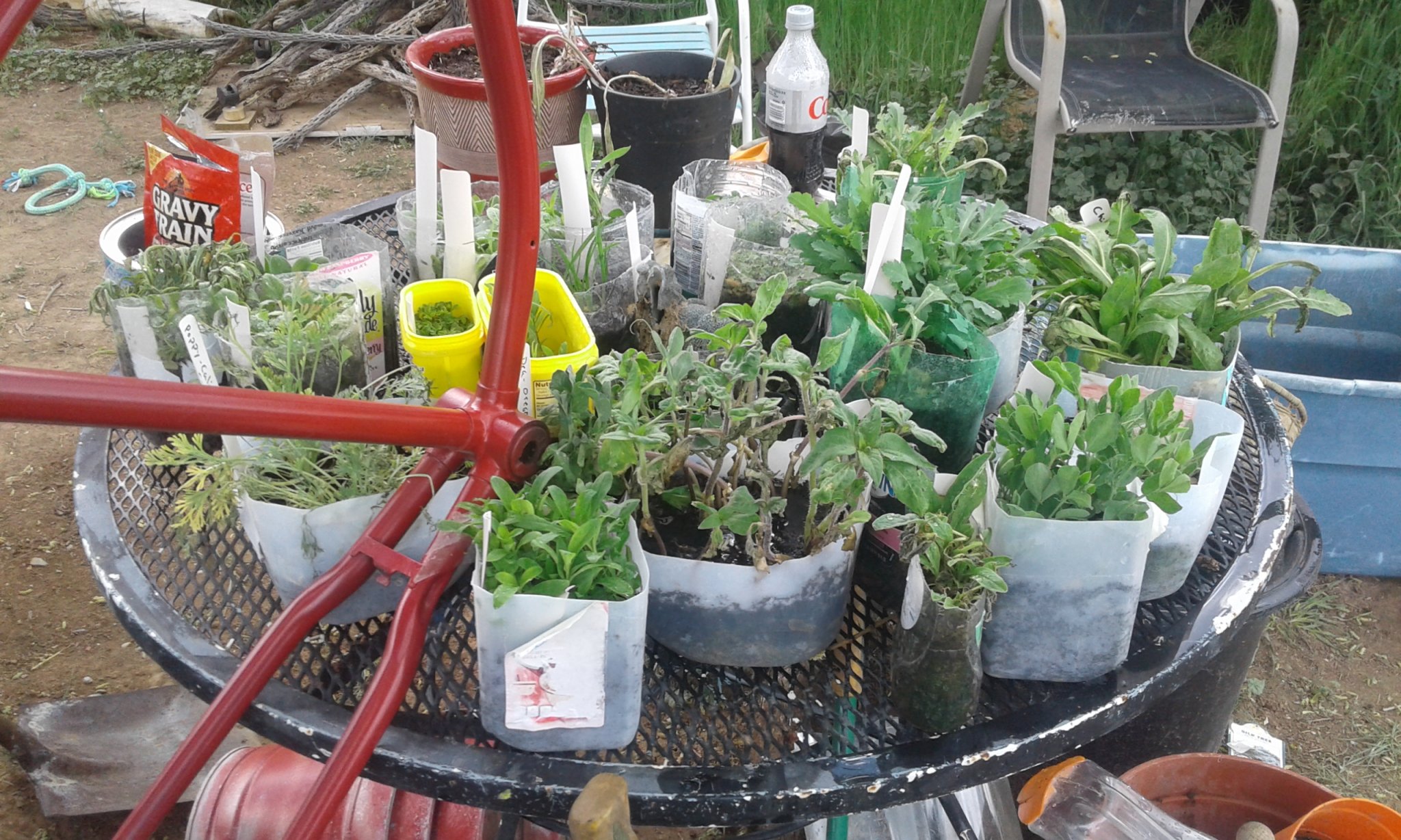 20170420_173938.jpg