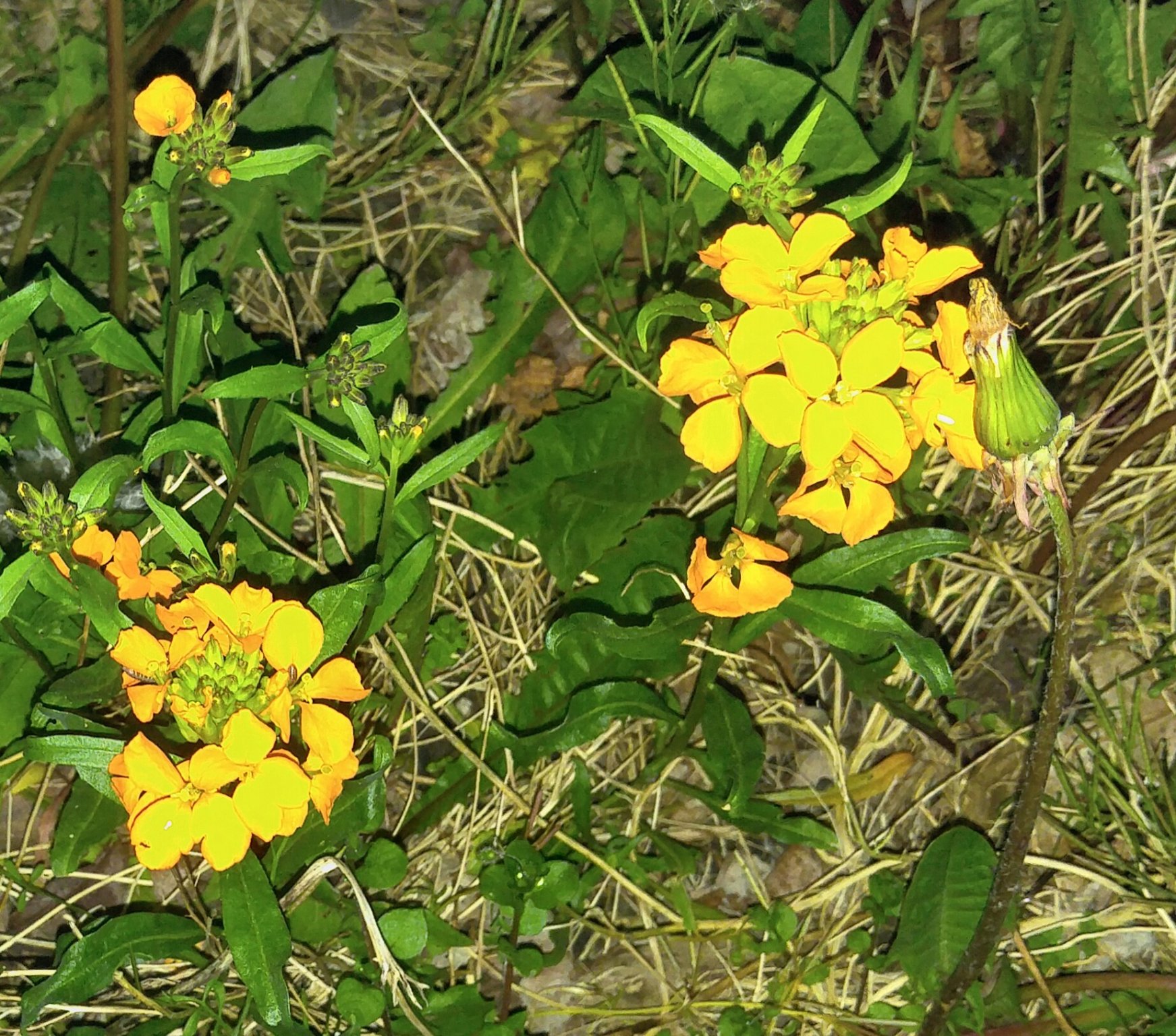 20170430_212717-1.jpg