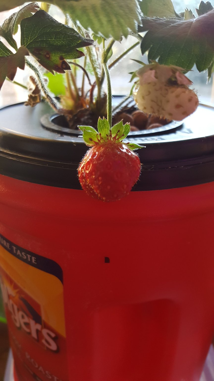 20170503_071501.jpg