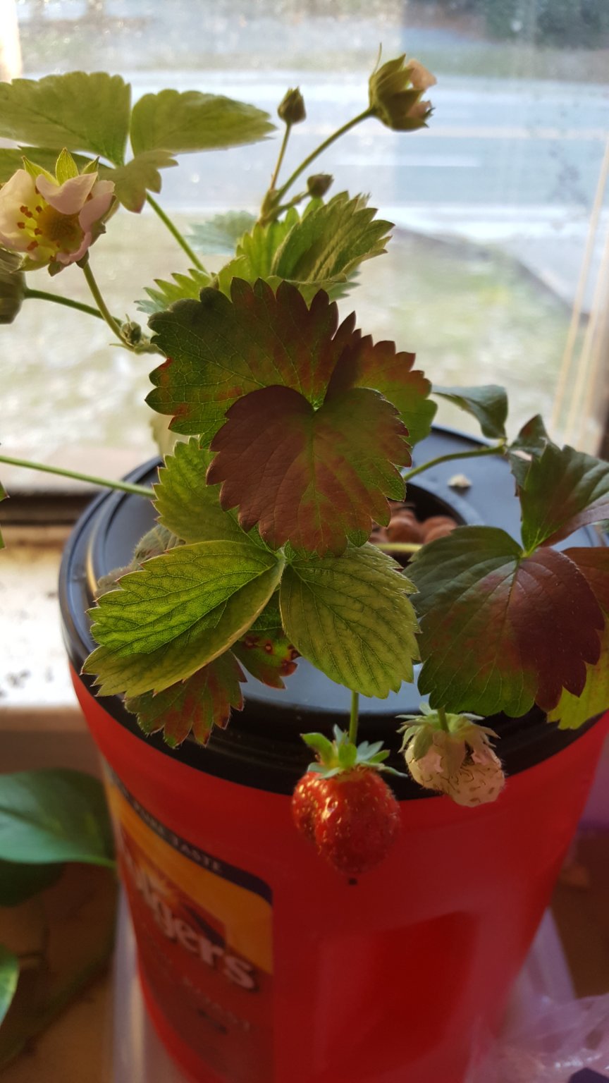 20170503_071529.jpg