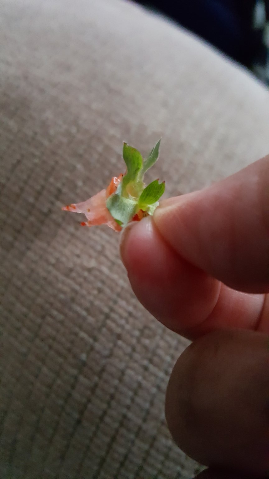 20170503_185209.jpg