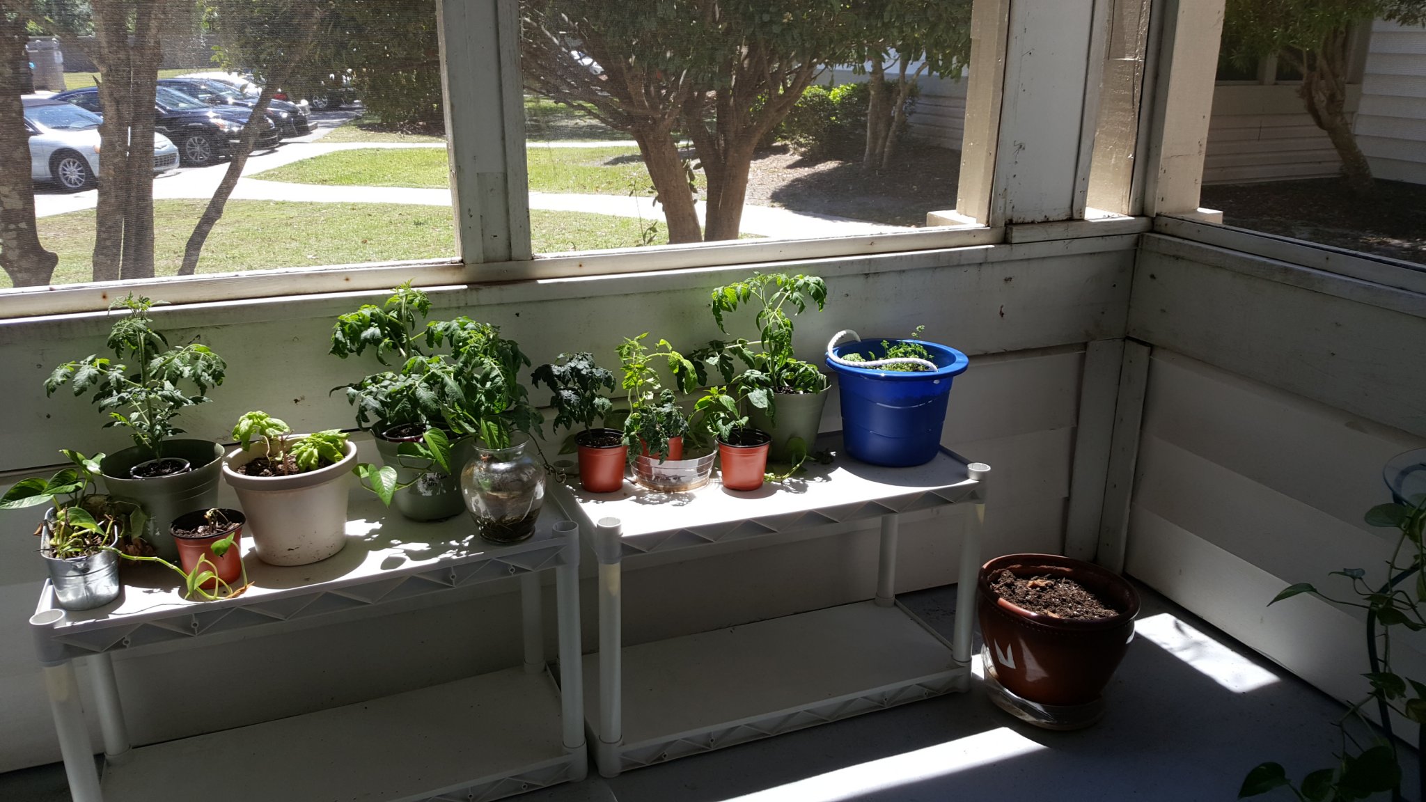 20170506_134733.jpg