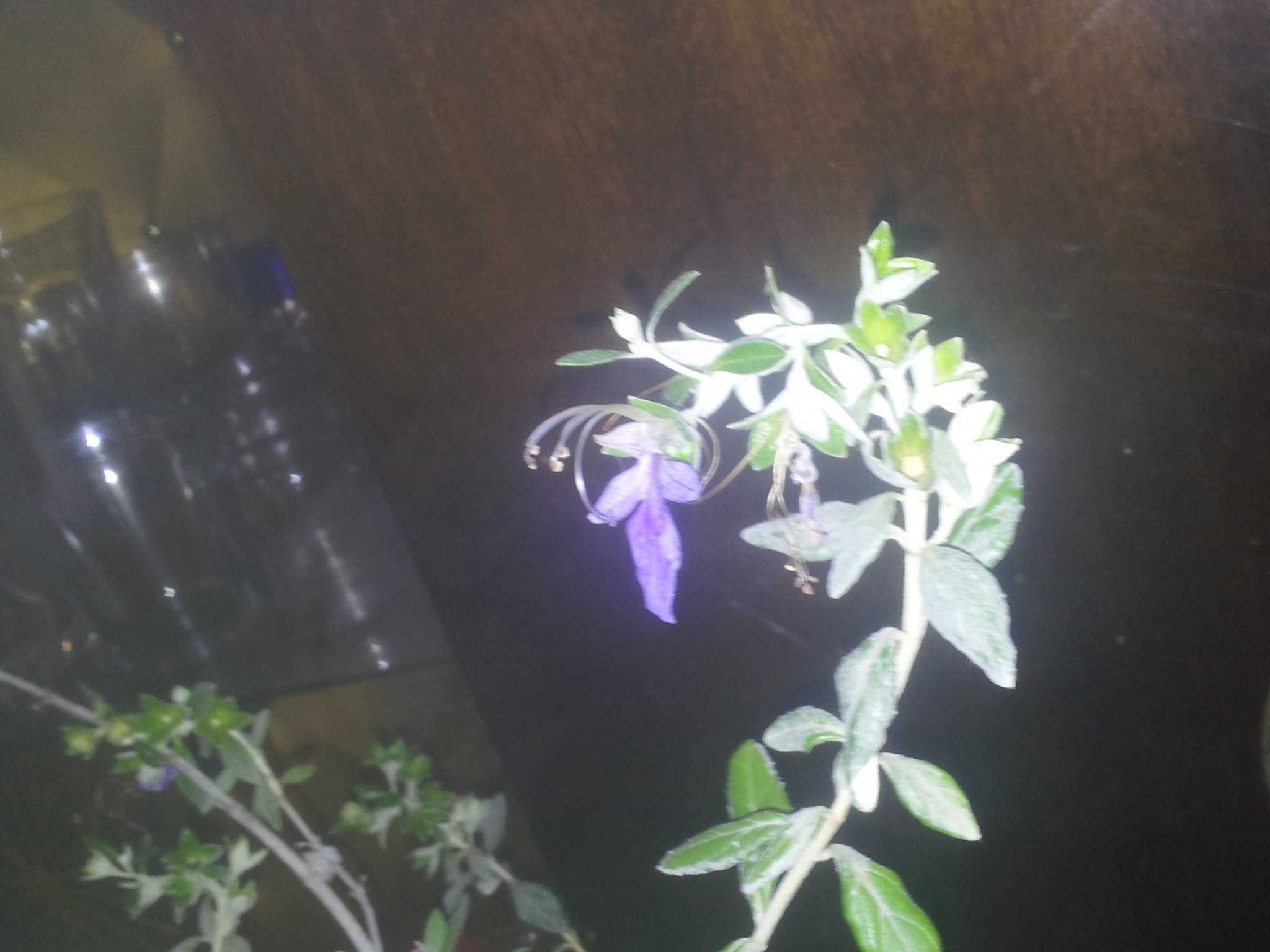 20170508_145111.jpg