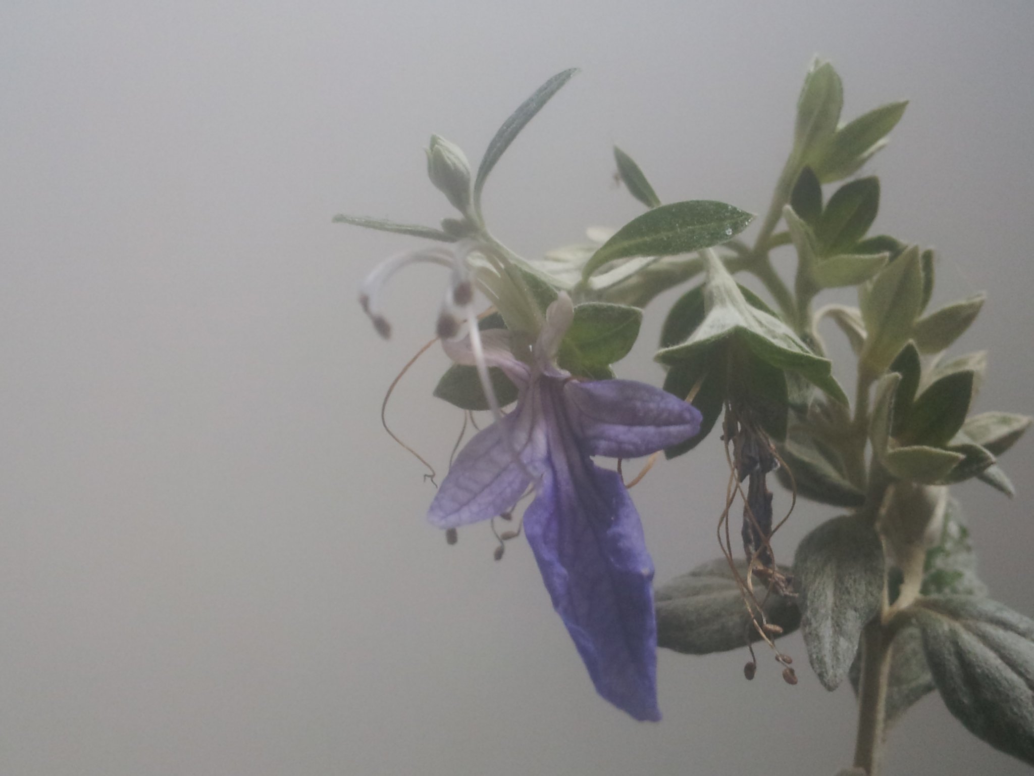 20170508_145145.jpg