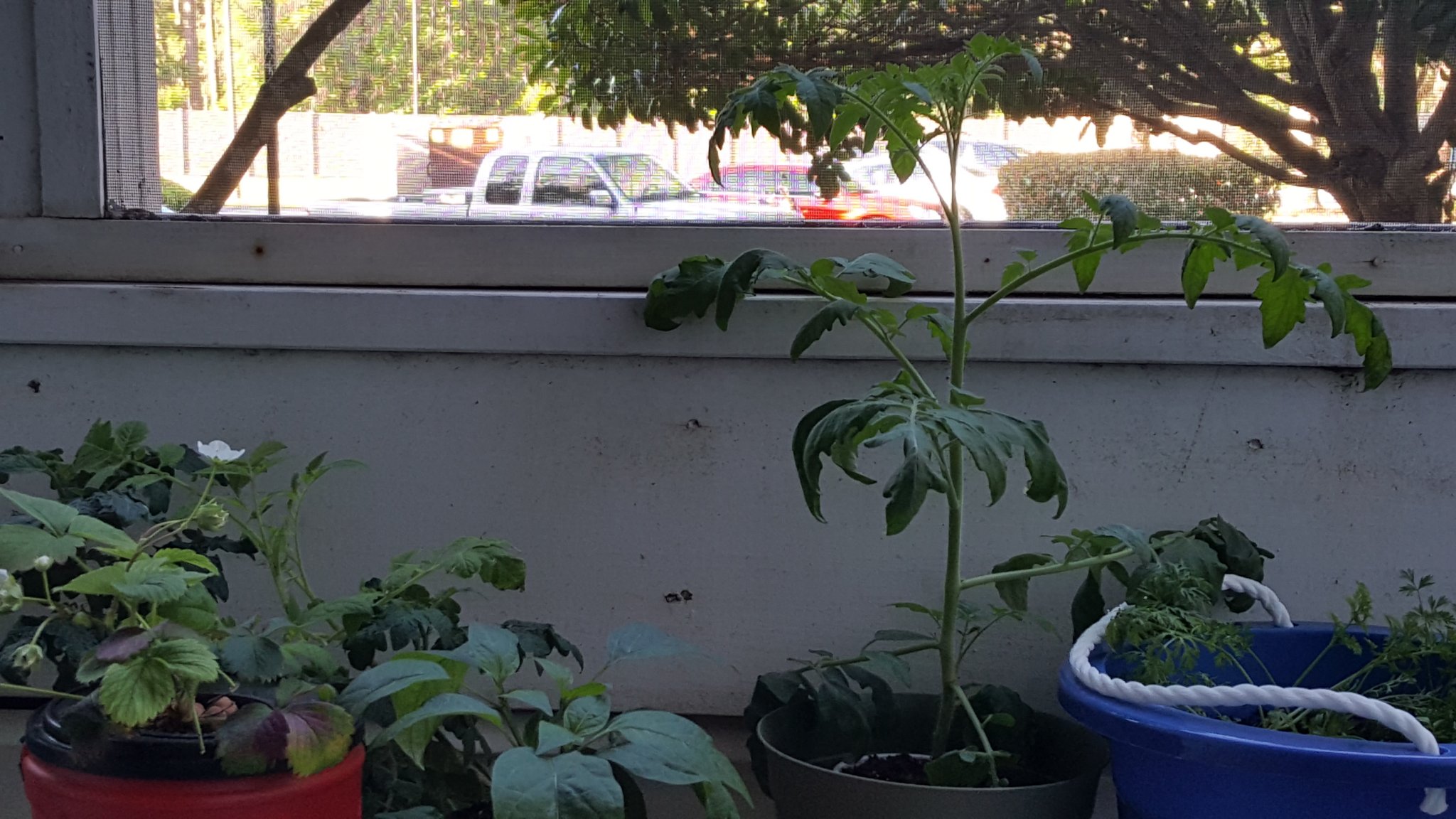 20170510_081924.jpg