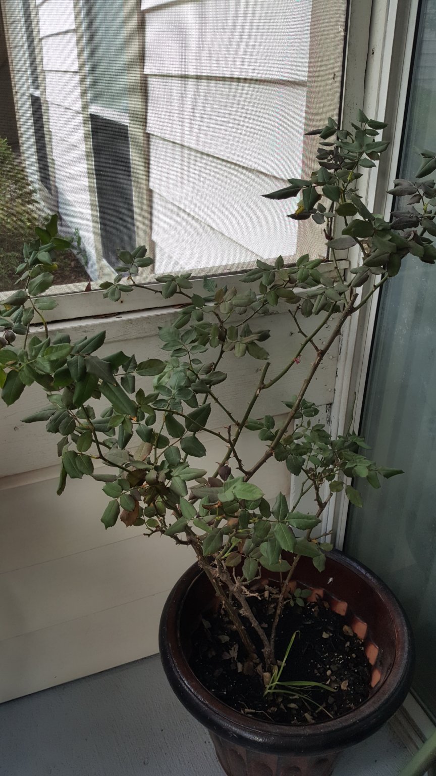 20170520_094402.jpg