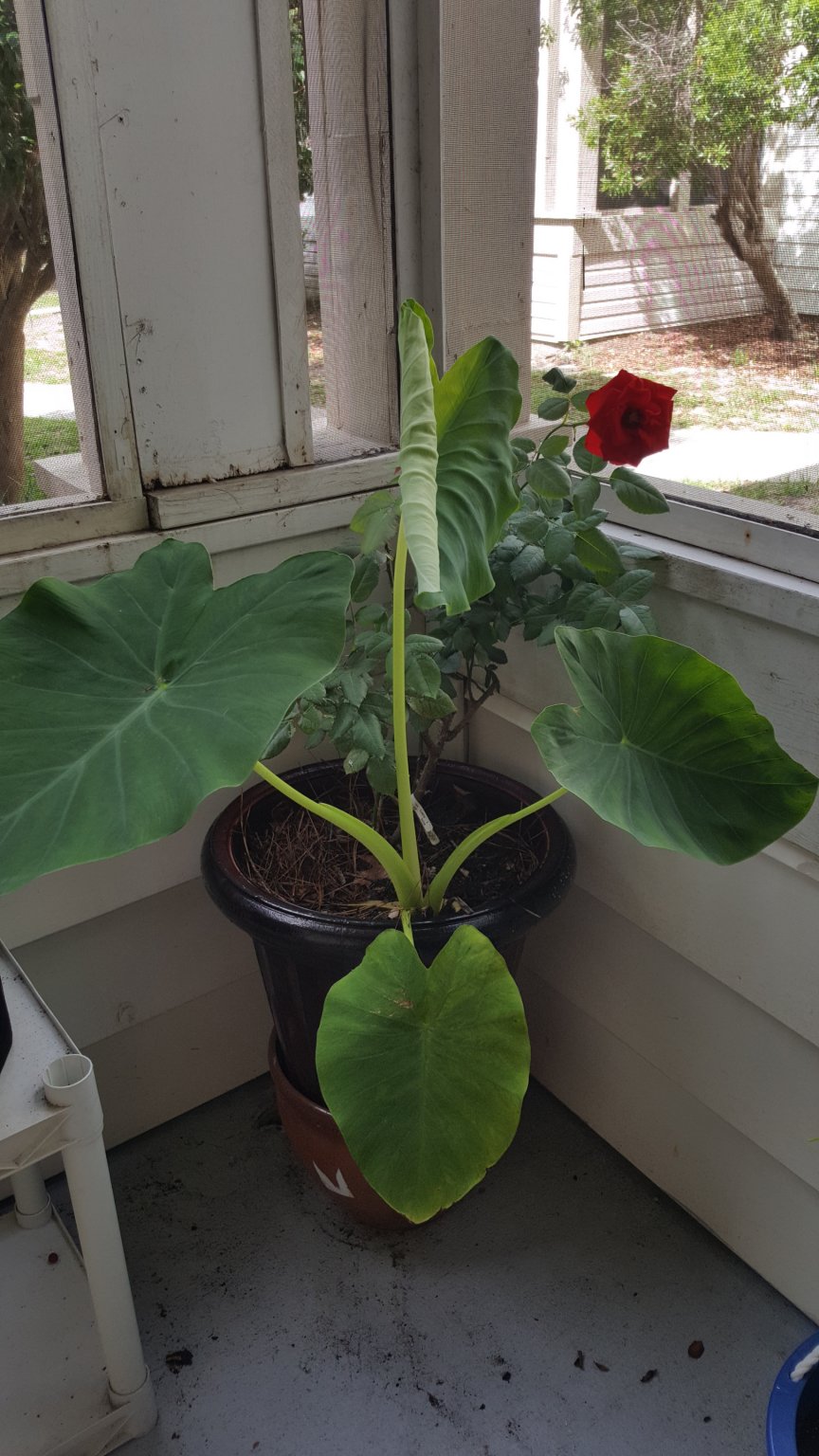 20170520_101650.jpg