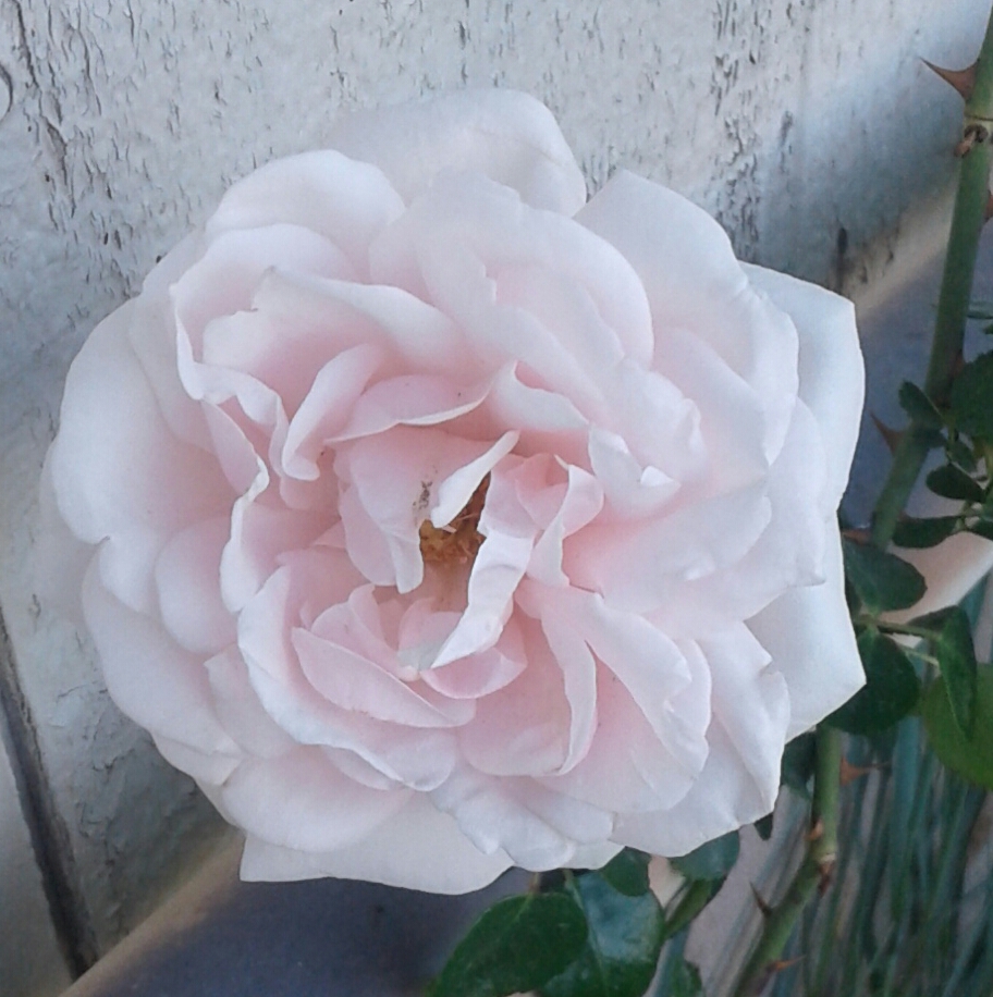 20170524_195604.jpg